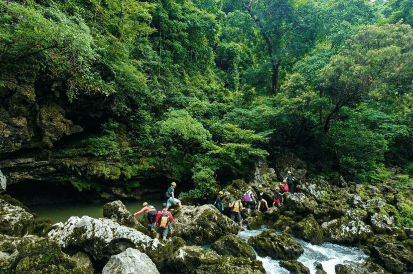 Trekking xuyên rừng Phong Nha – Kẻ Bàng là trải nghiệm đáng giá