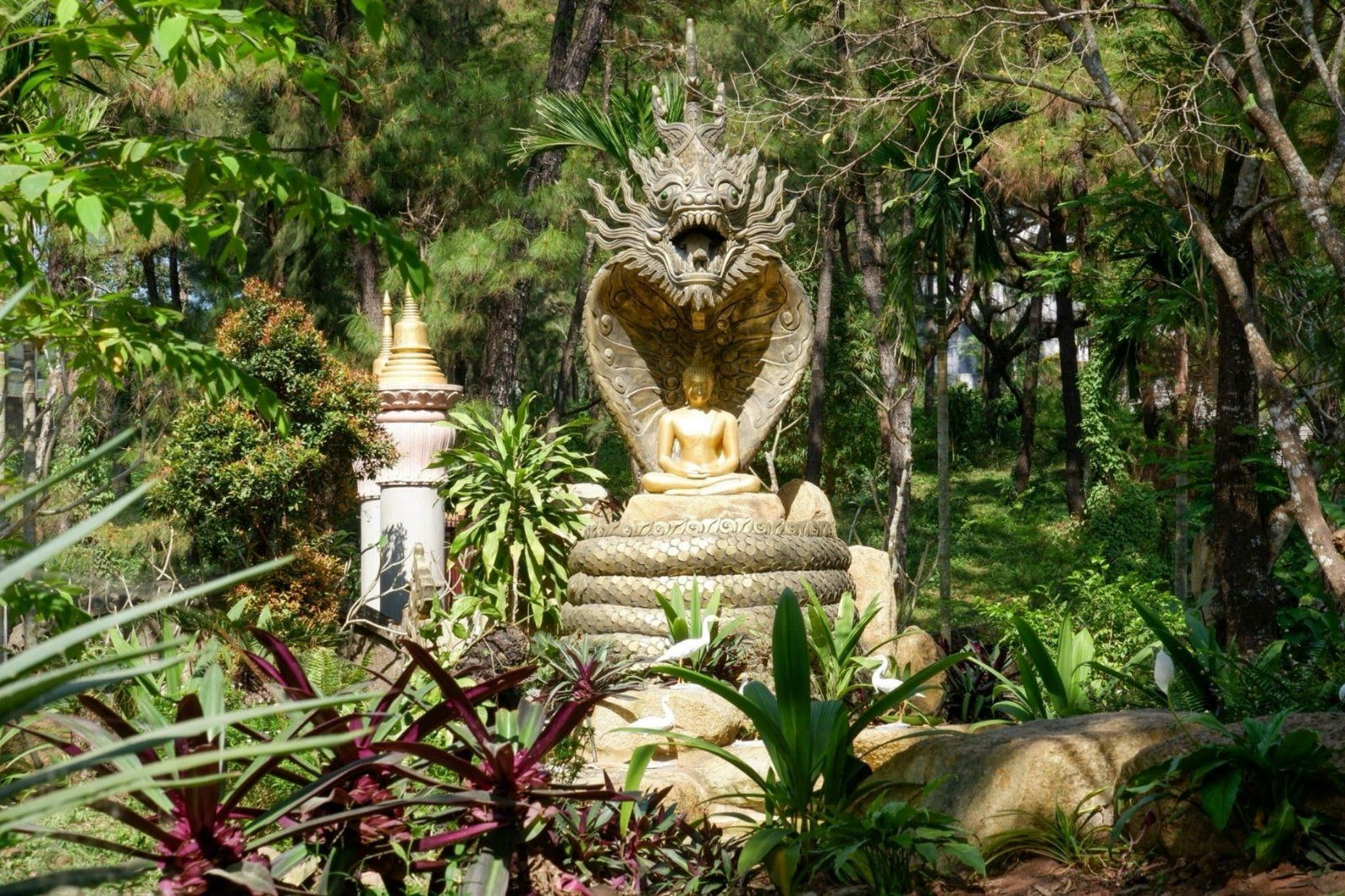 Tượng Phật Thích Ca tọa thiền dưới sự bảo vệ của Xà Vương