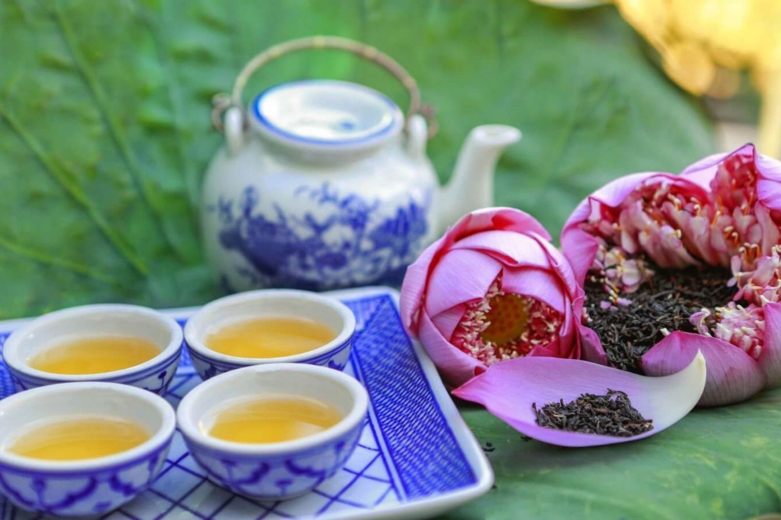 Tuyệt phẩm trà sen ướp Ninh Bình