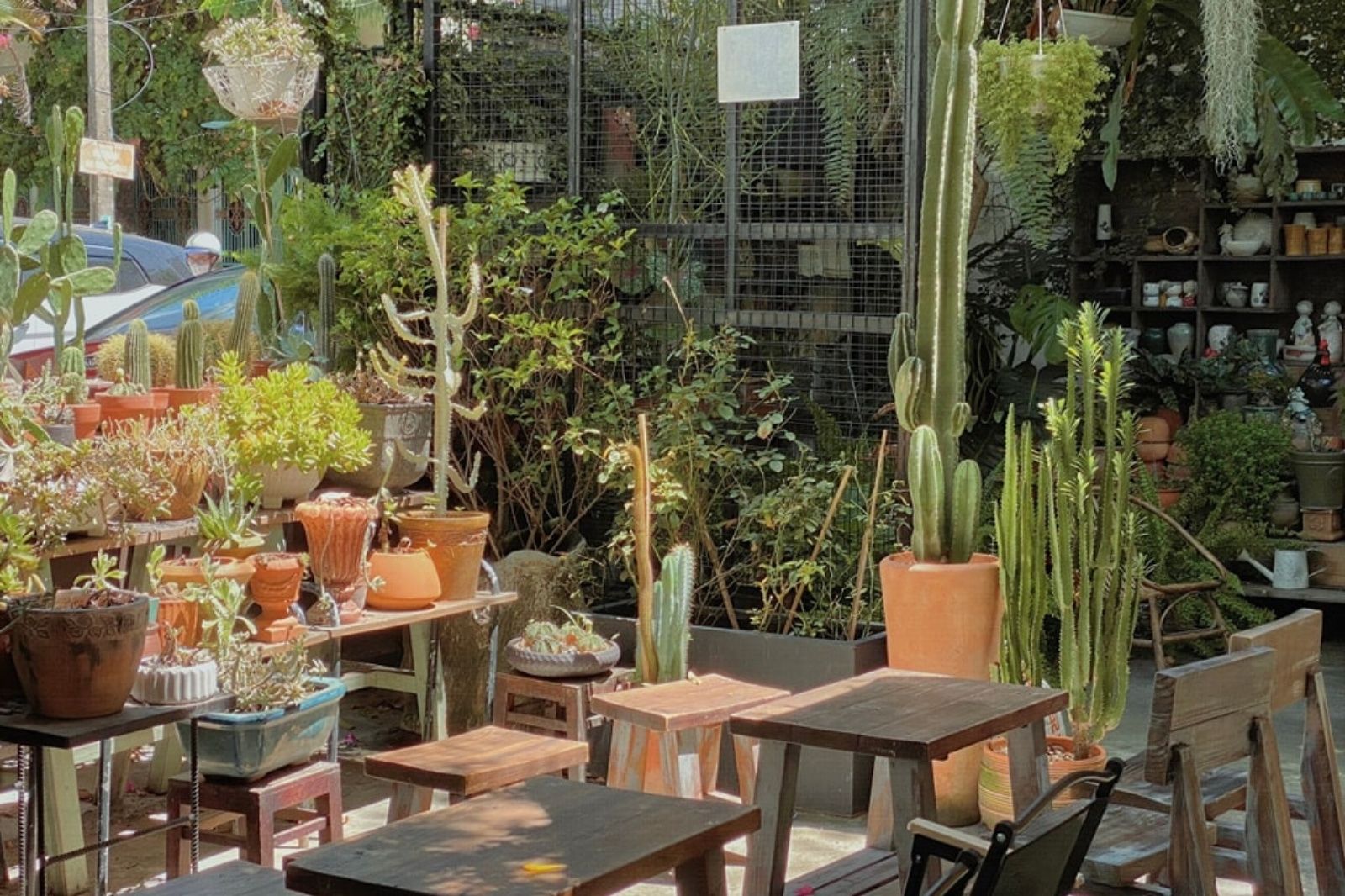 Uống một tách cà phê để hoài niệm về những điều xưa cũ