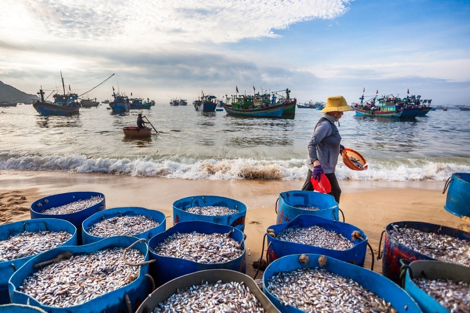 Vẻ đẹp bình yên của làng chài Bảo Ninh