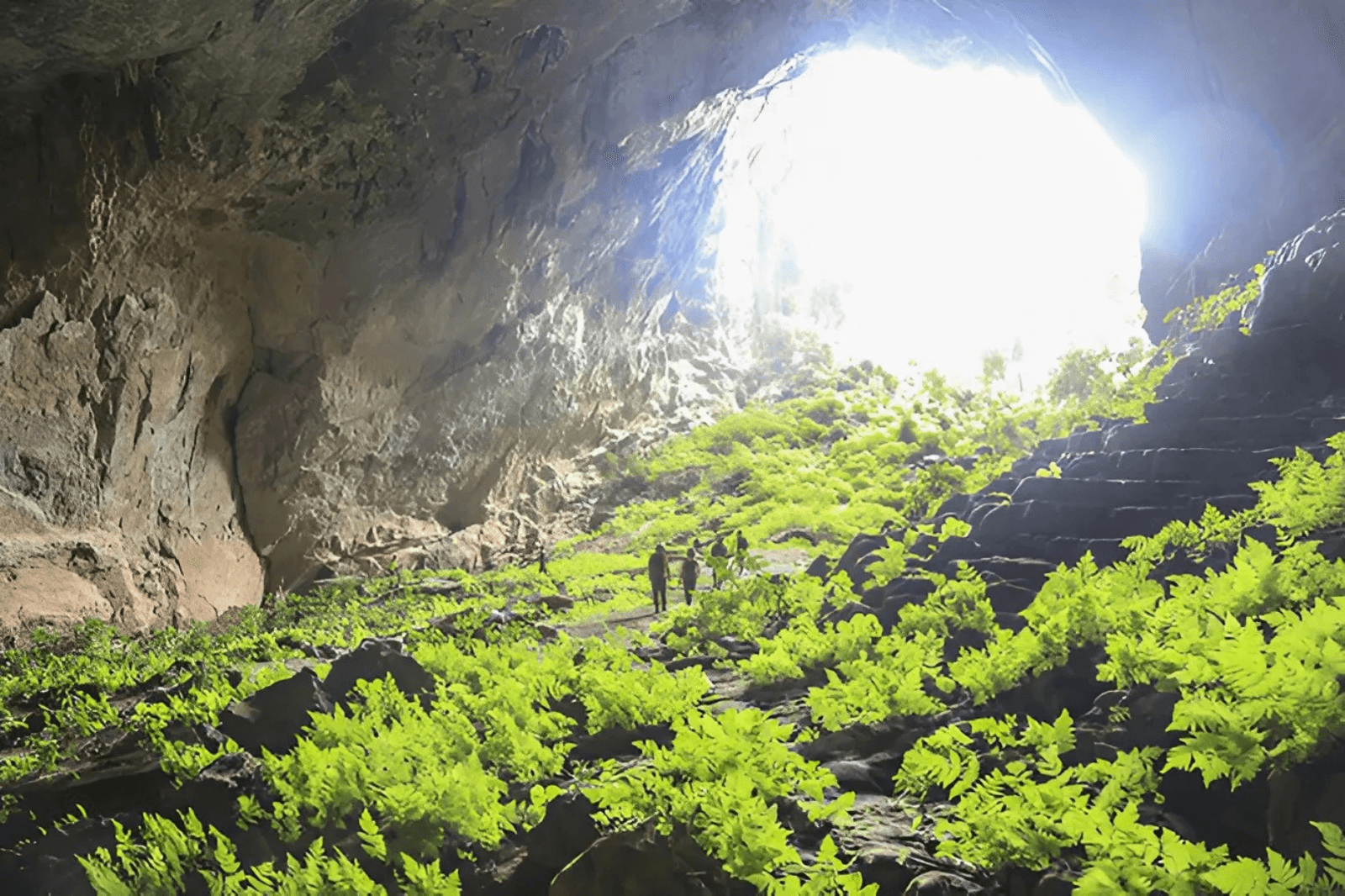Vẻ đẹp của Hang Pygmy