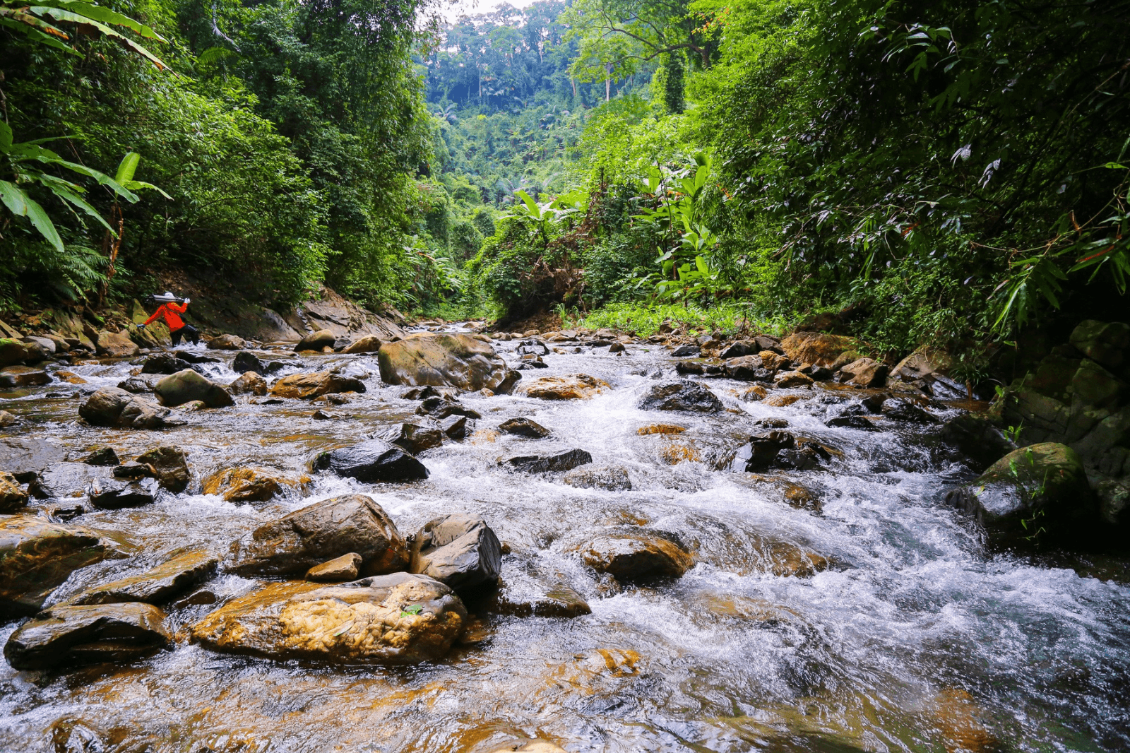Vẻ đẹp mà tạo hóa đã ban tặng cho nơi đây