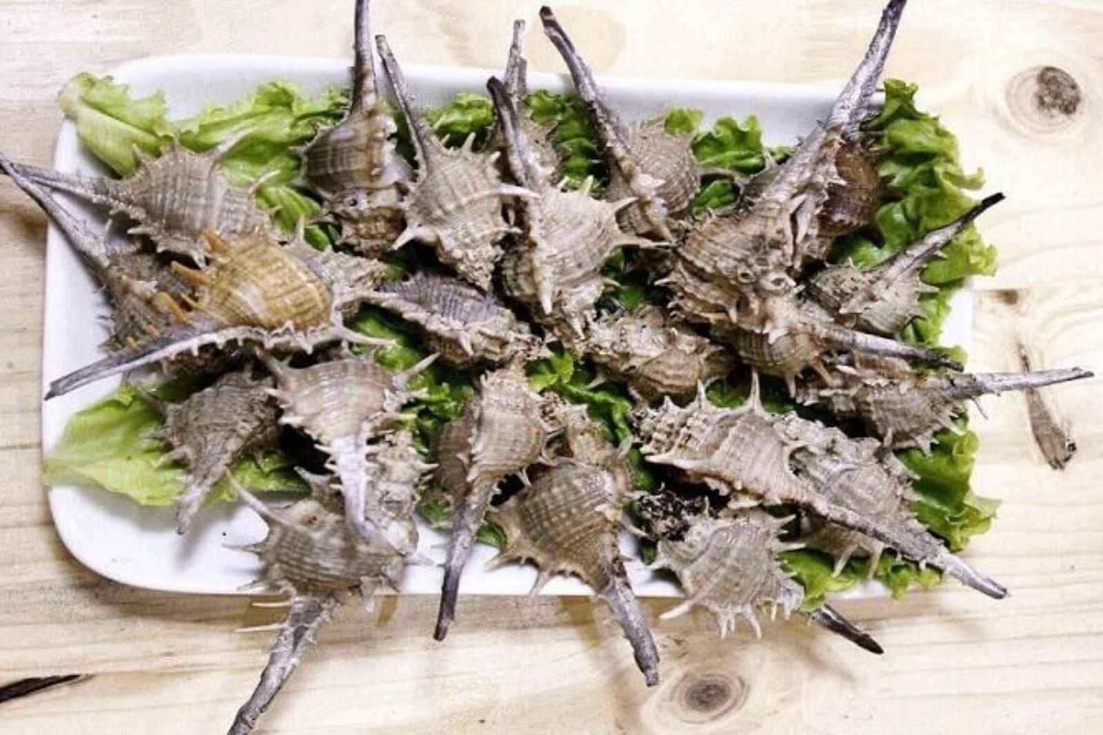 Vị biển mặn mòi trong từng con ốc khiến du khách khó quên