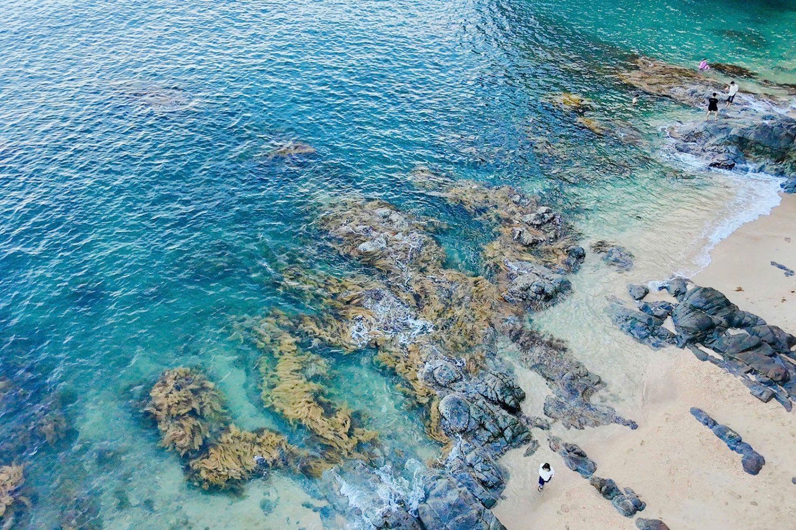 Viên ngọc đại dương ẩn mình ở Bán đảo Sơn Trà