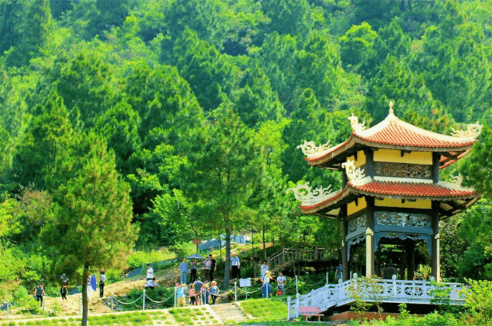 Vũng chùa đảo yến