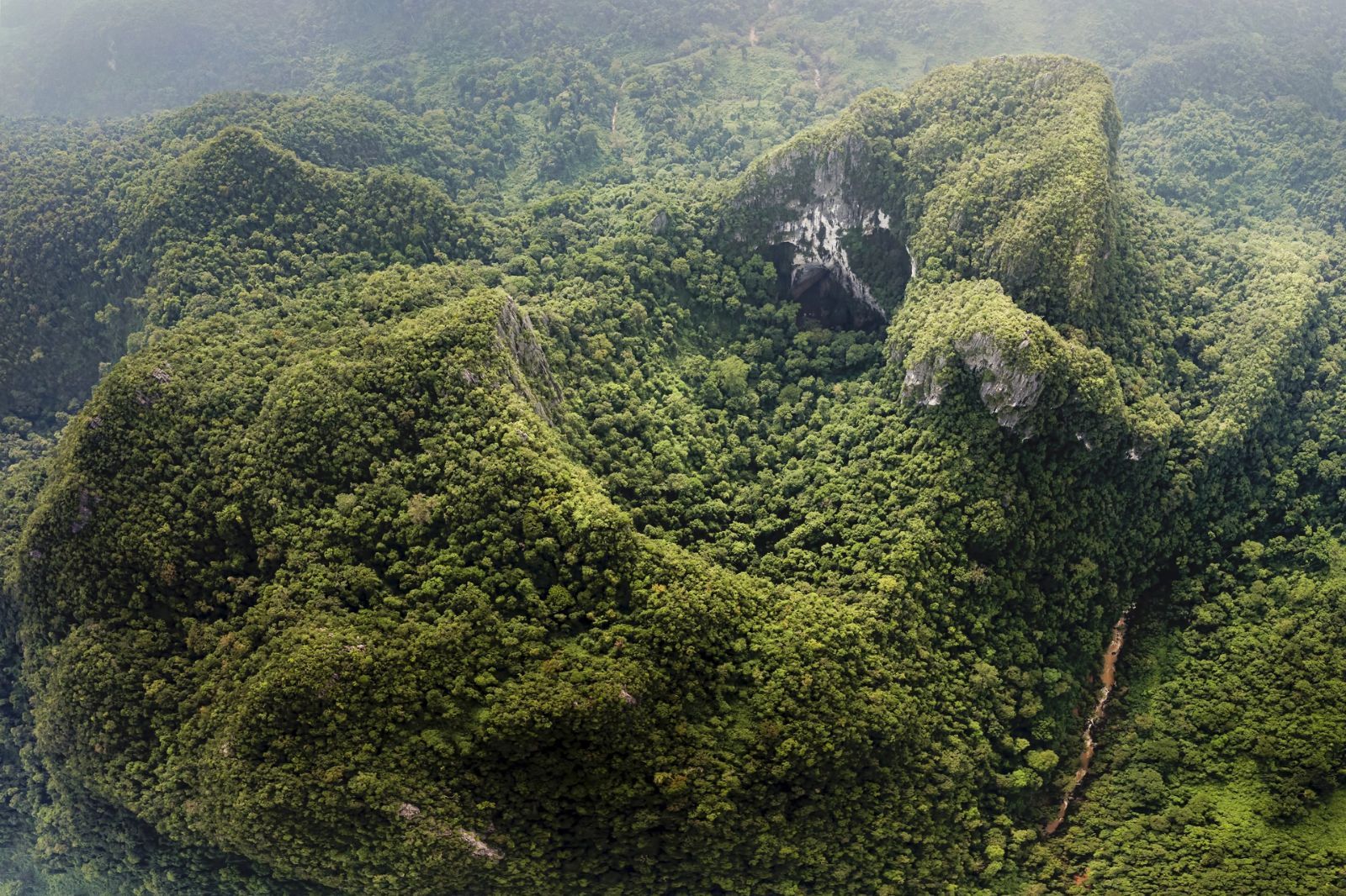 Xung quanh hố sụt là rừng nguyên sinh 