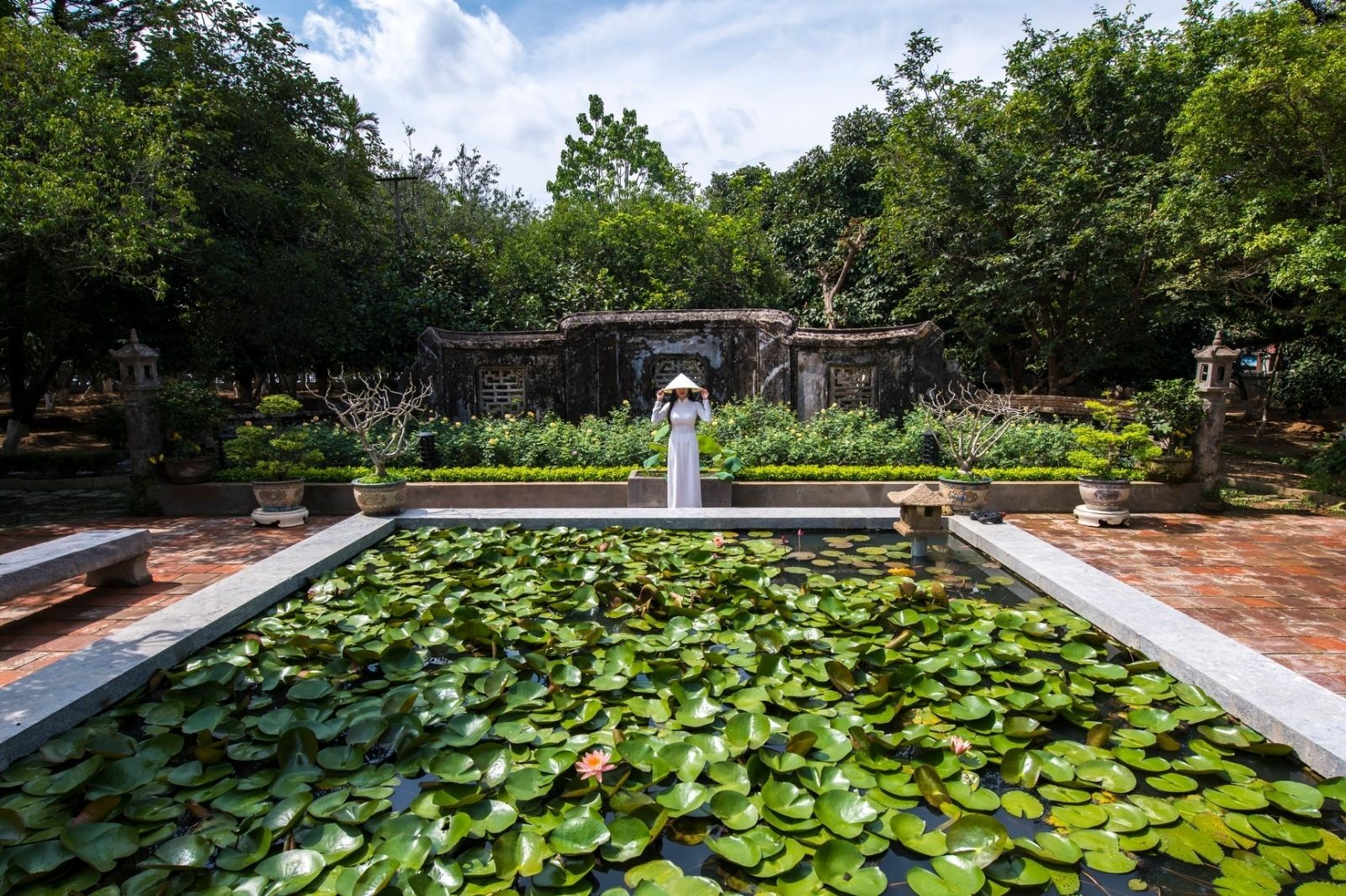 Ao sen ở nhà vườn An Hiên