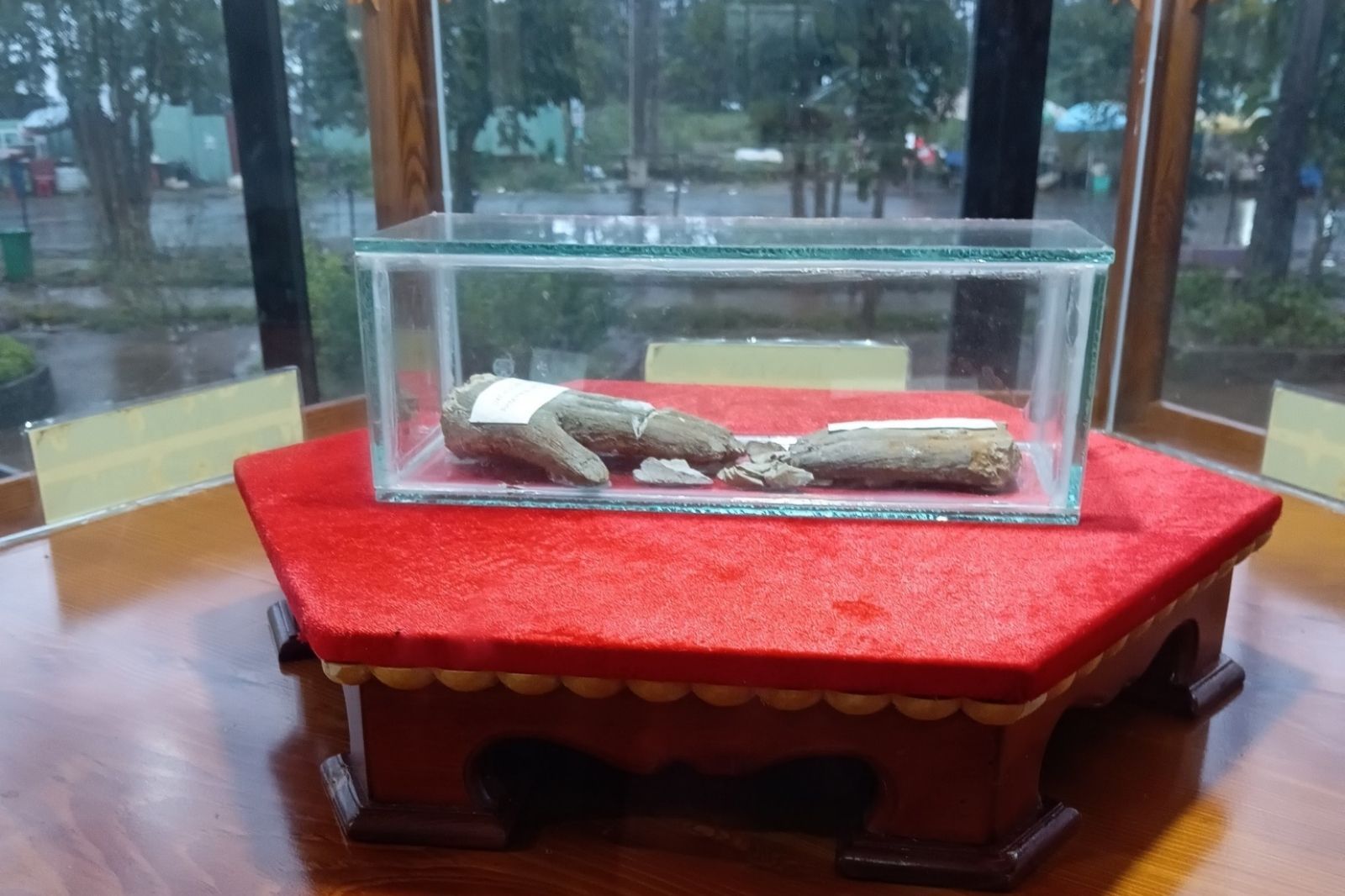 Bàn tay Đức Mẹ Măng Đen 