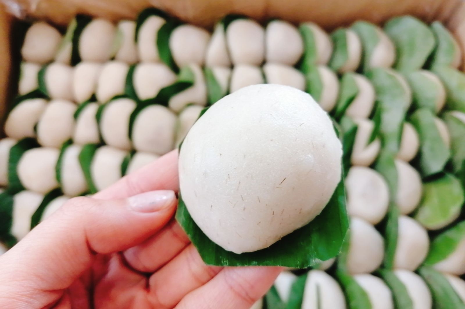 Bánh chì An Mỹ có hình dạng như bánh dày