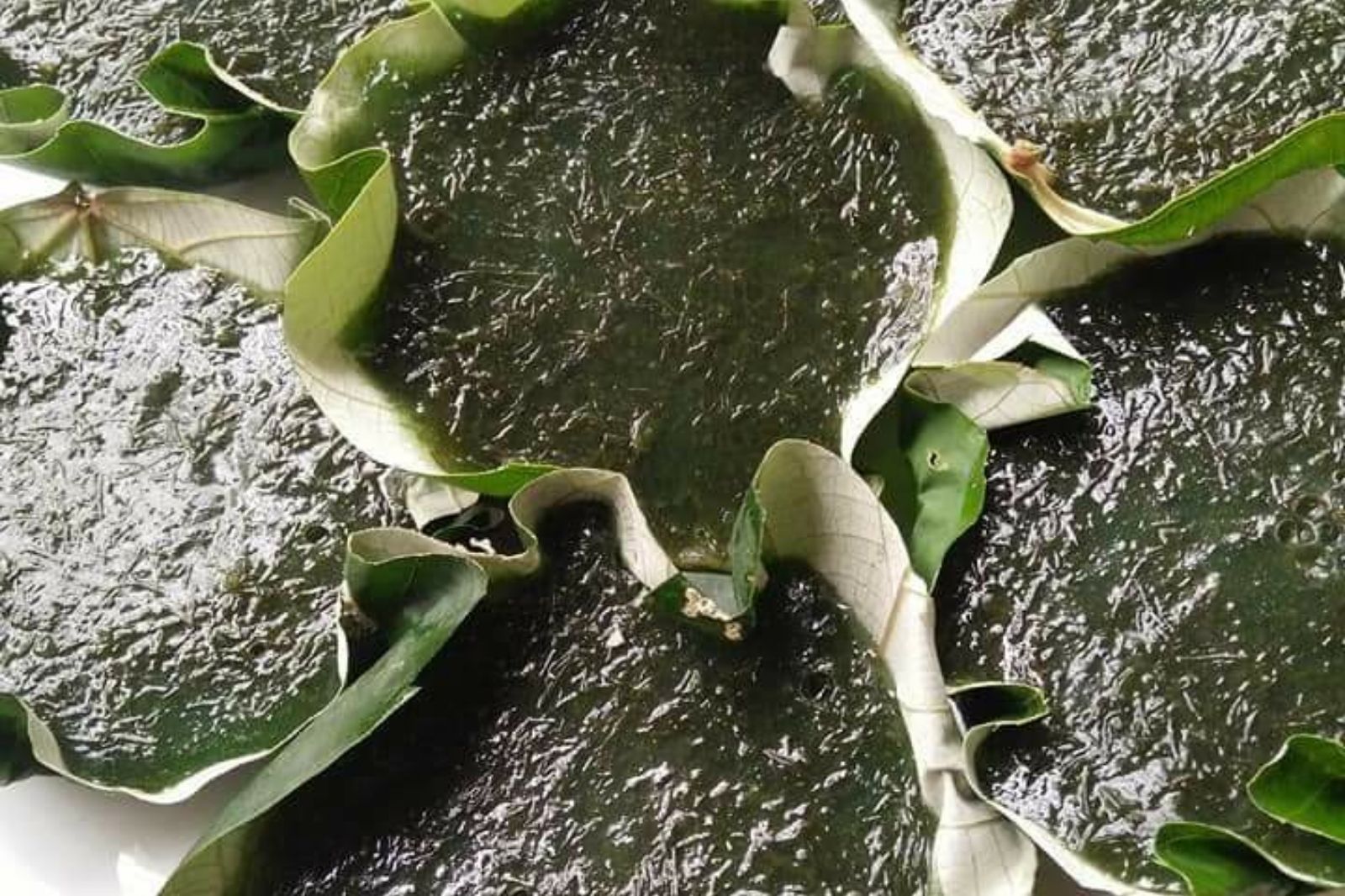 Bánh đúc rau câu Cửa Tùng 