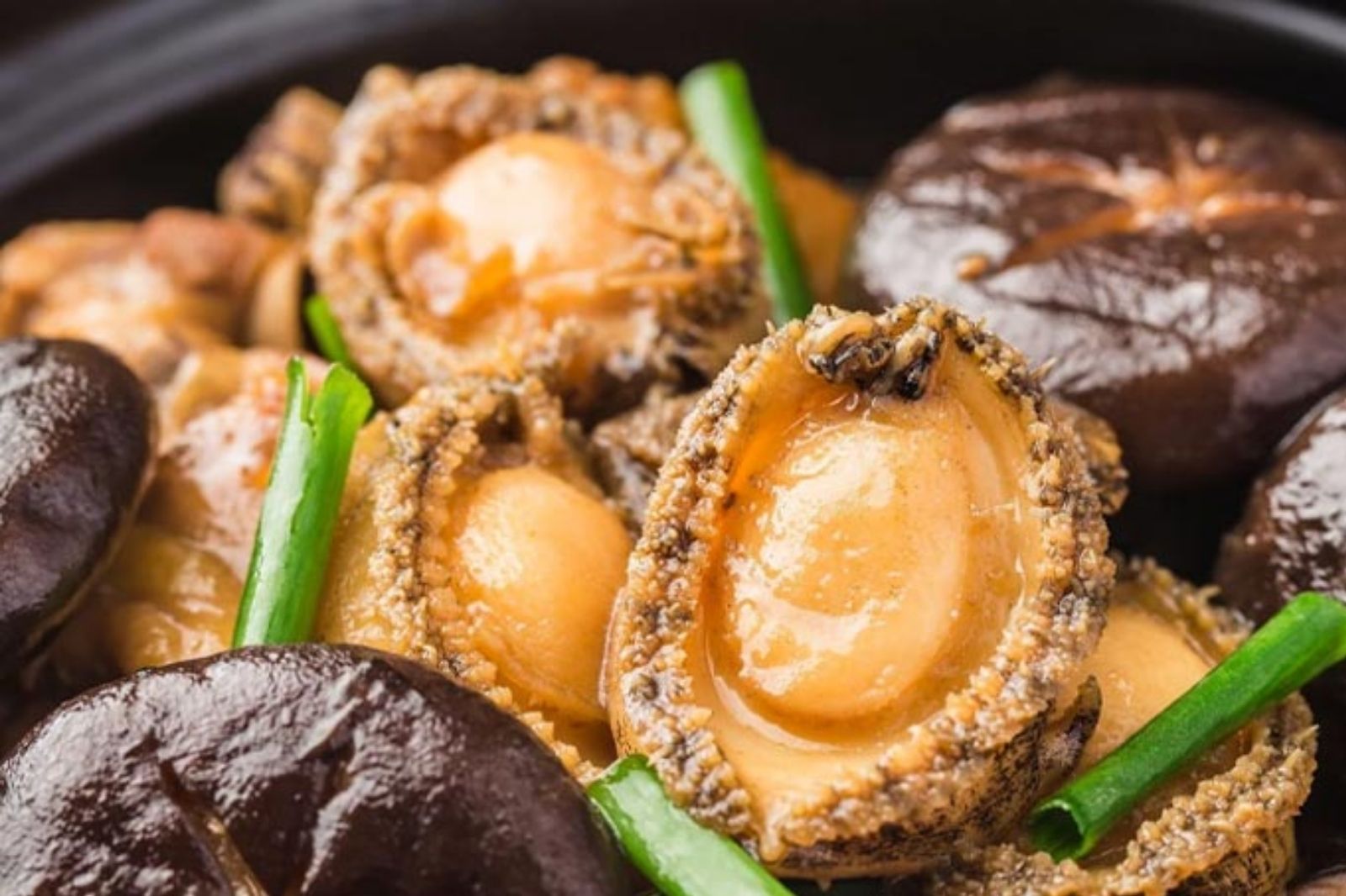 Bào ngư được mệnh danh là vua của các loại hải sản 