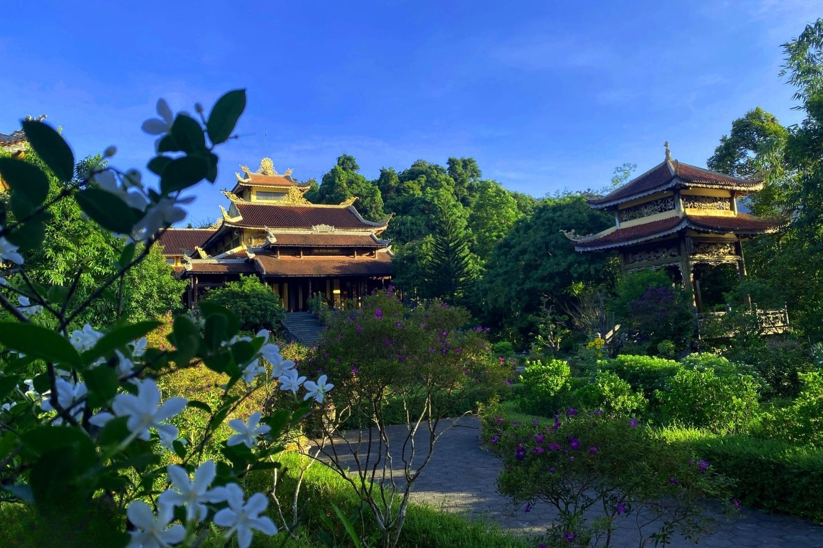 Bao quanh Thiền Viện là rừng xanh bạt ngàn 