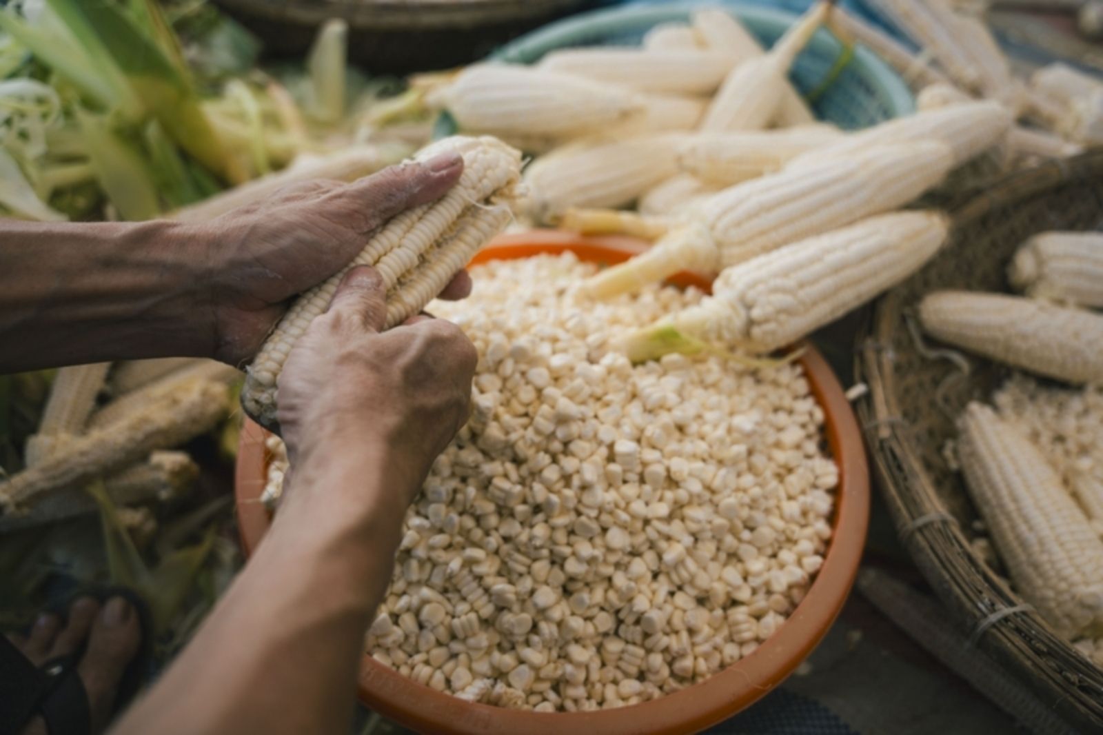 Bắp nấu chè phải là bắp non