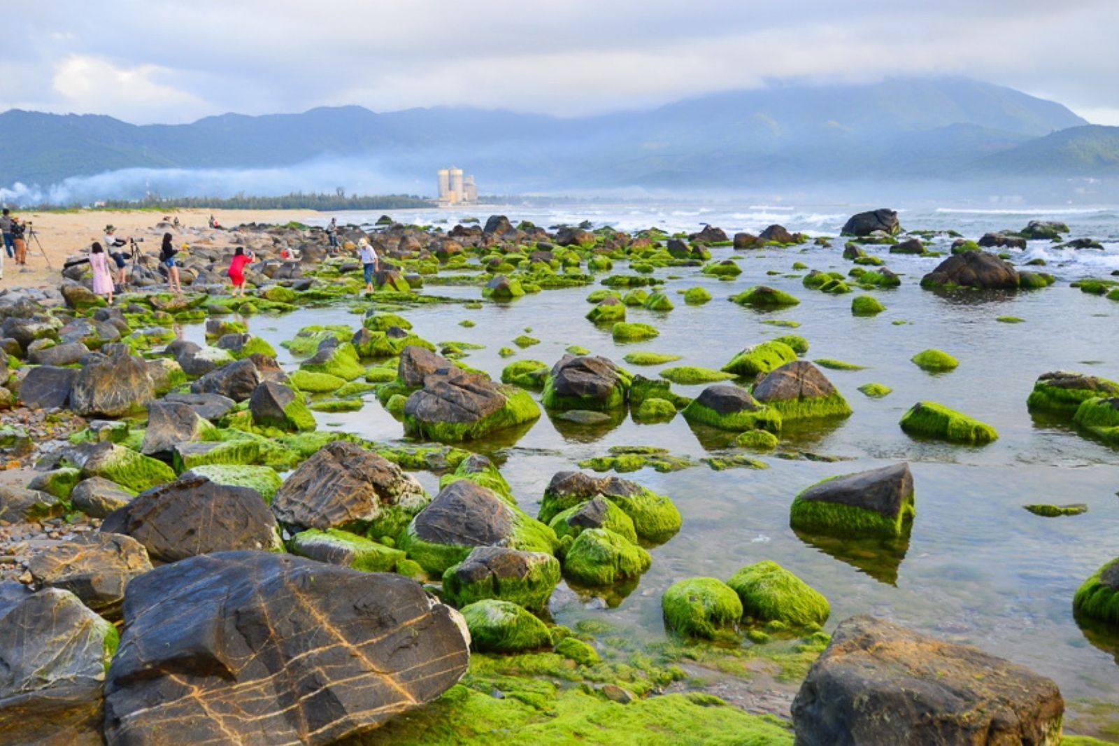 Biển Nam Ô thu hút bởi những rạn đá với rêu xanh 