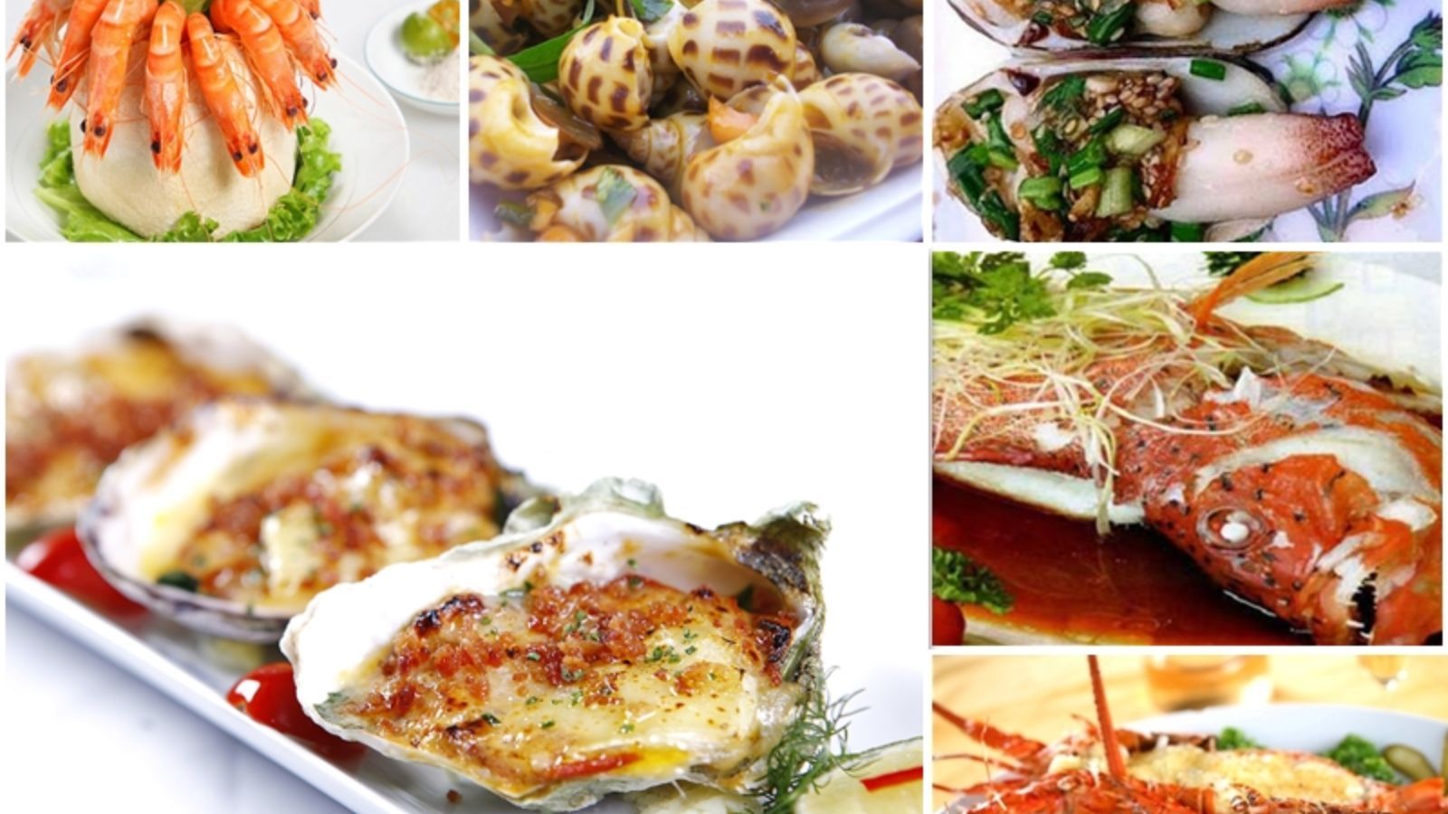 Các món ăn hải sản tươi ngon tại biển Thuận An.