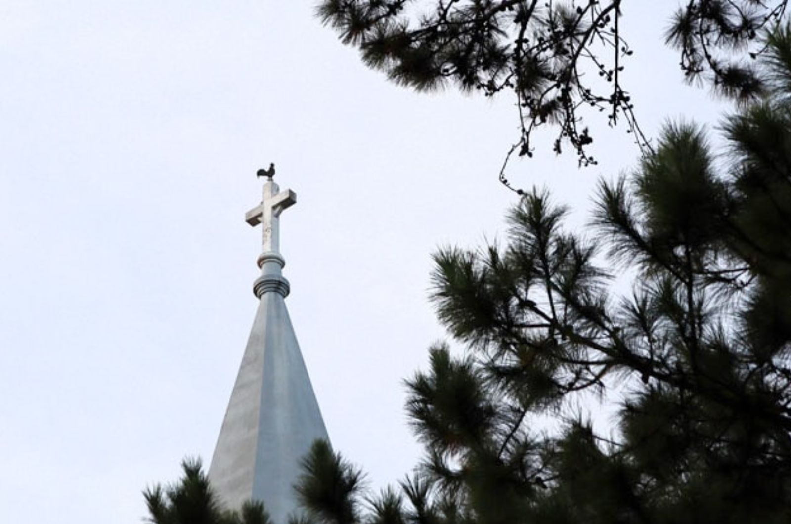 Biểu tượng con gà trên đỉnh nhà thờ 