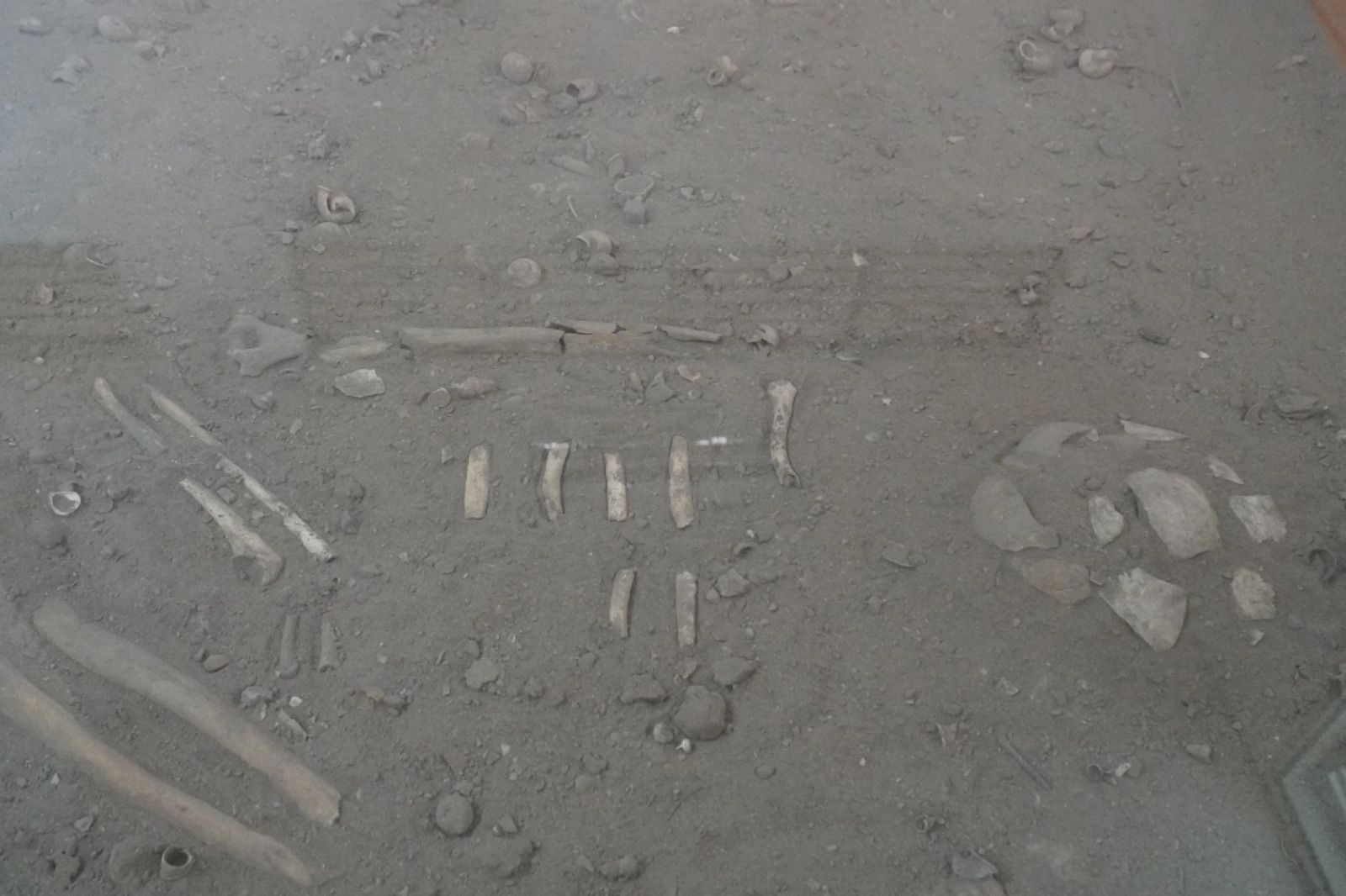 Bộ hài cốt được phát hiện ở động Người Xưa 