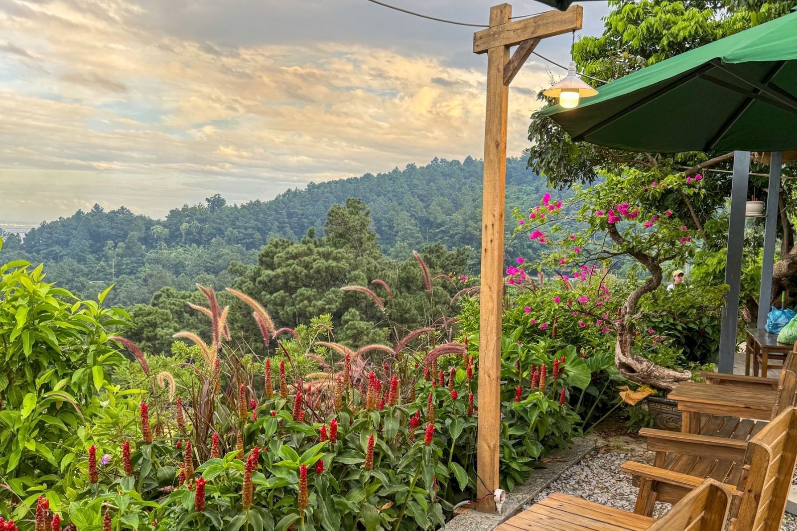 Cà phê Lẫn trên đèo Hải Vân 