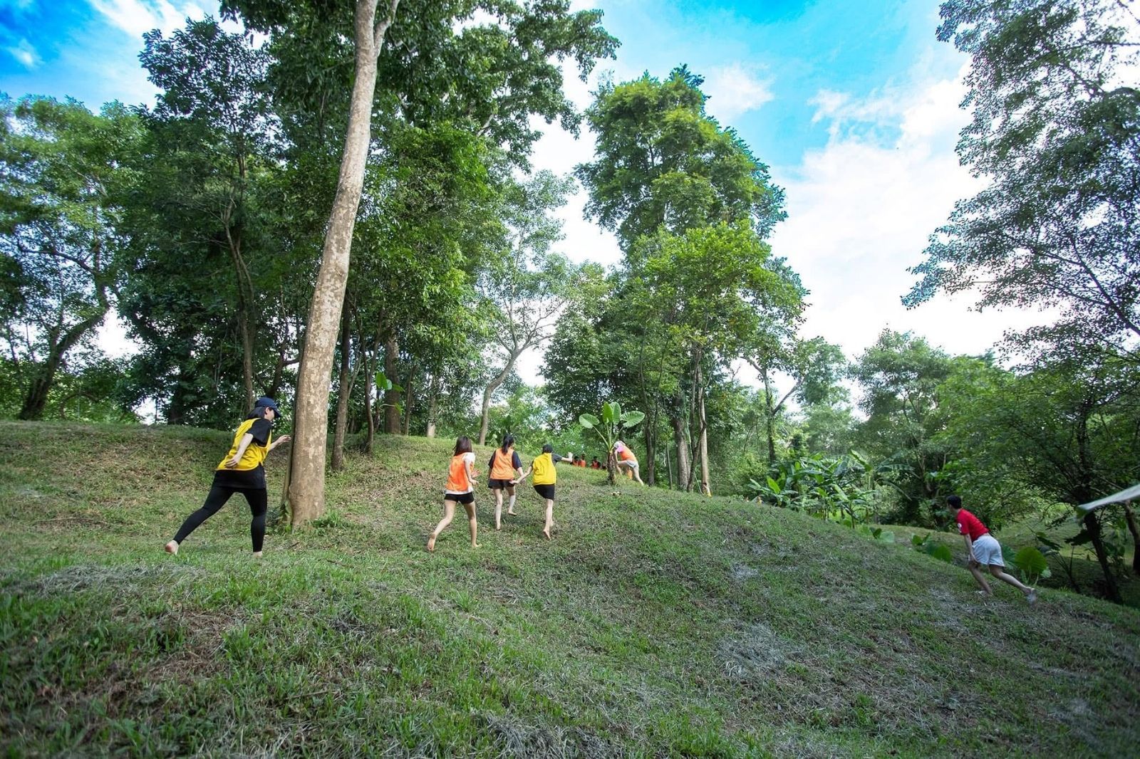 Các gói vé đa dạng cho nhiều lựa chọn