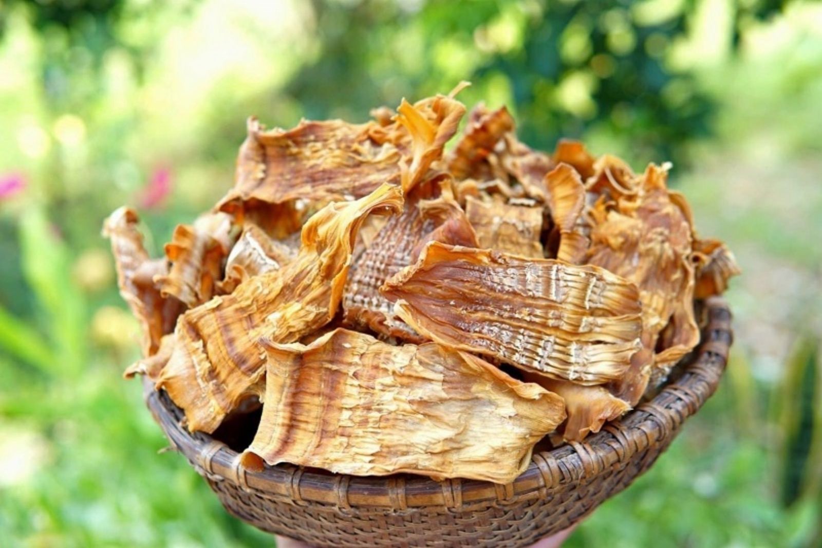 Các loại nông sản khô như măng rừng 