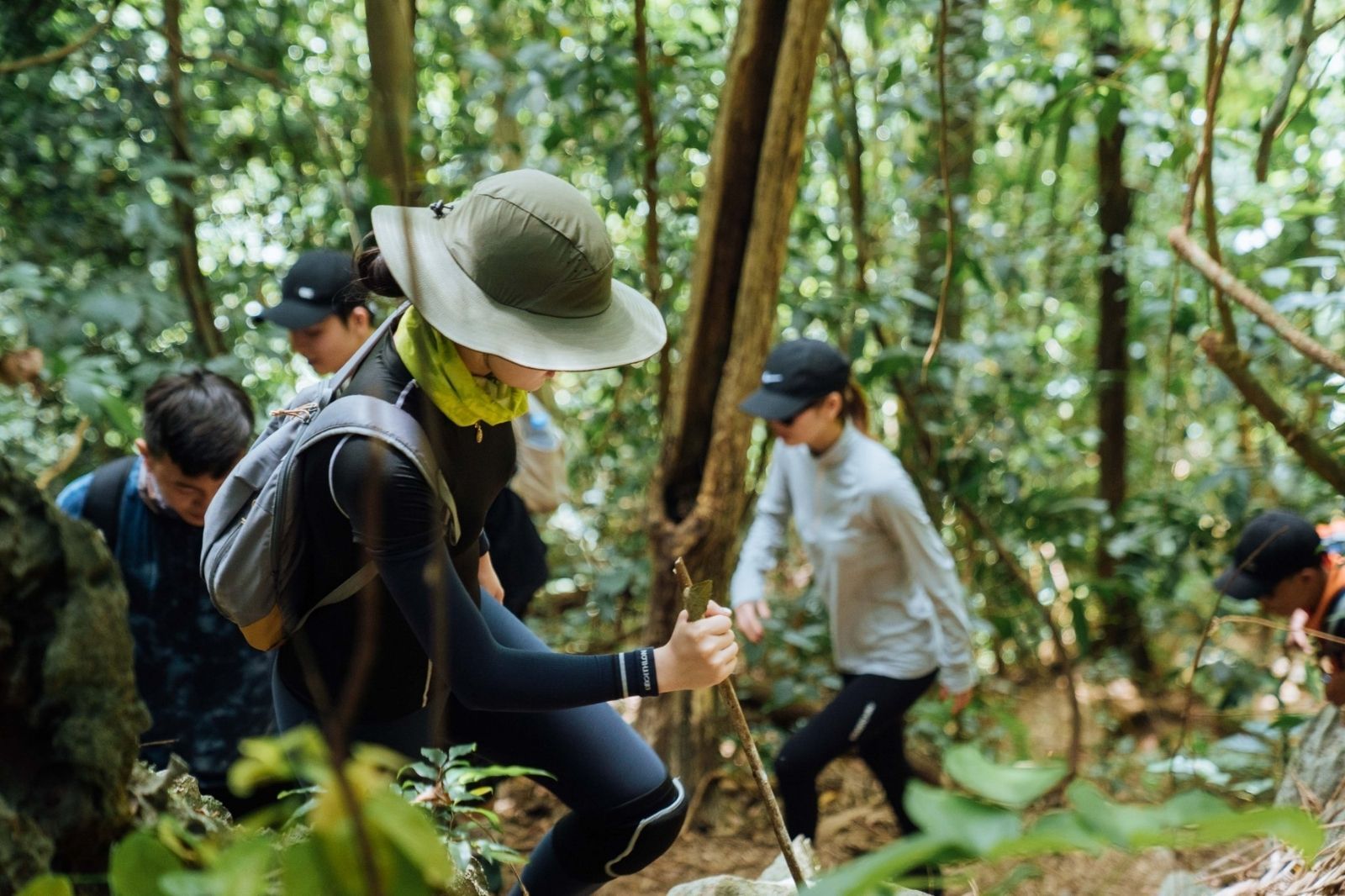 Các tour trekking đi bộ đường dài 