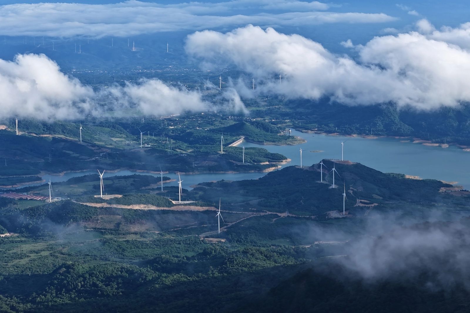 Ngắm những cánh đồng điện gió trên hành trình chinh phục