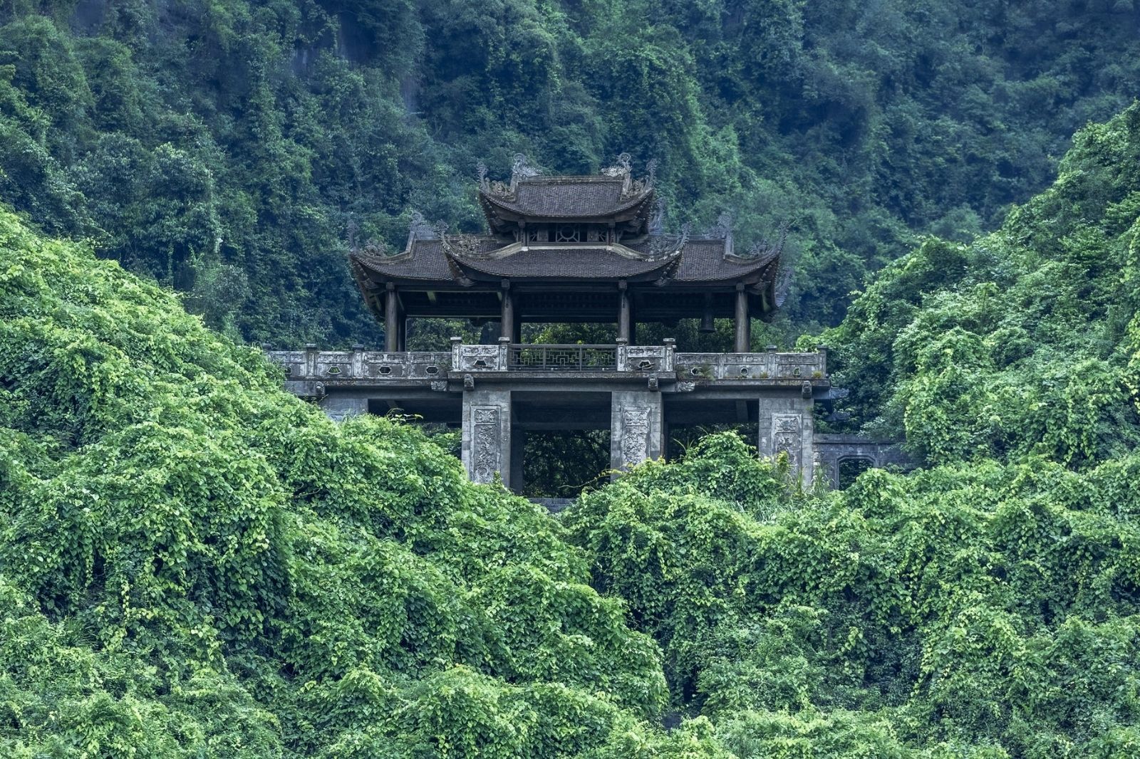 Cảnh sắc thiên nhiên trở nên trầm mặc 