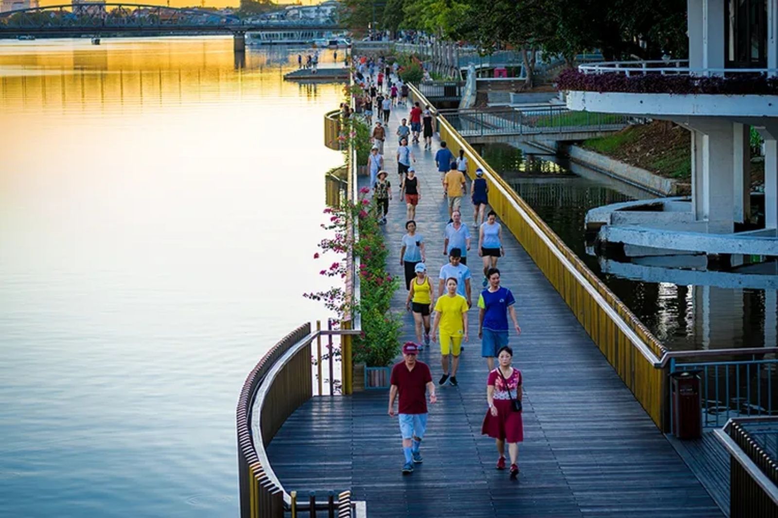 Cầu gỗ lim vào mỗi buổi sáng  