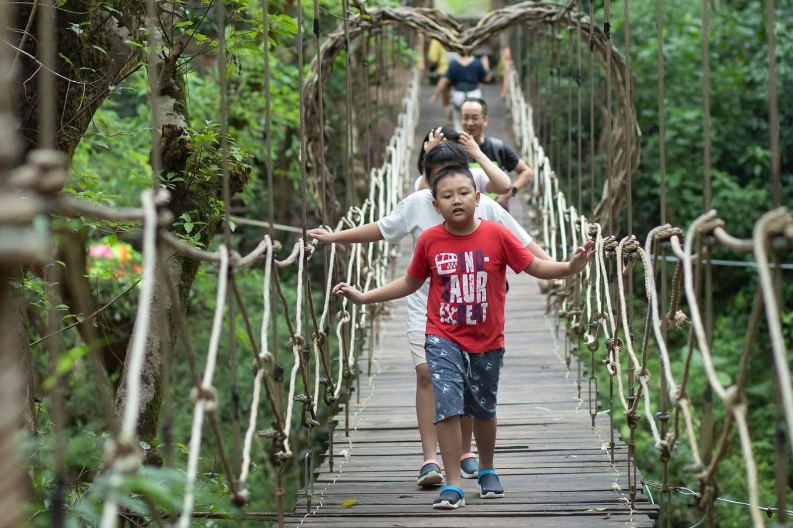 Hệ thống cầu treo gỗ ở Ozo Park
