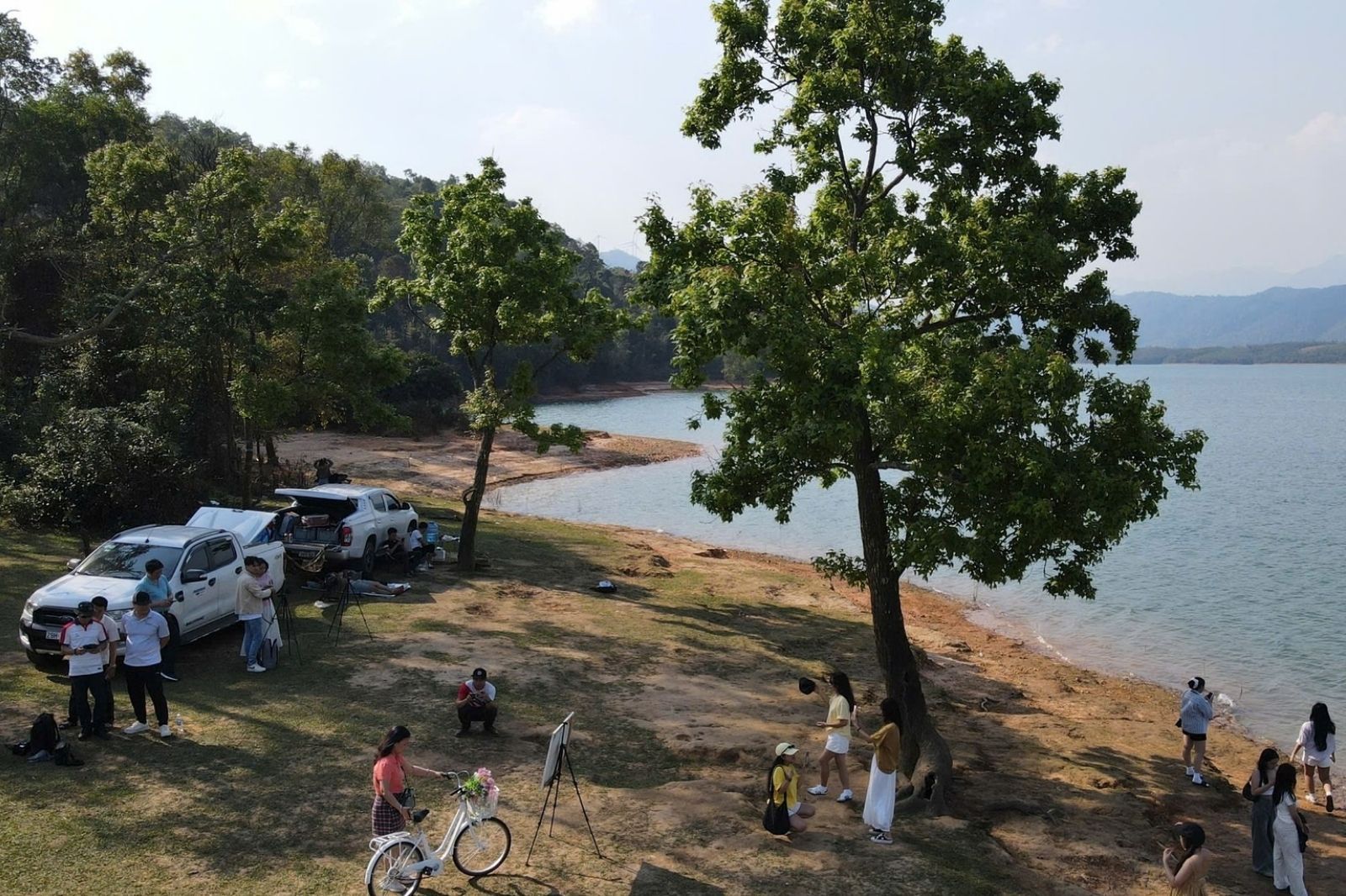 Cây cô đơn ở hồ thủy điện Rào Quán