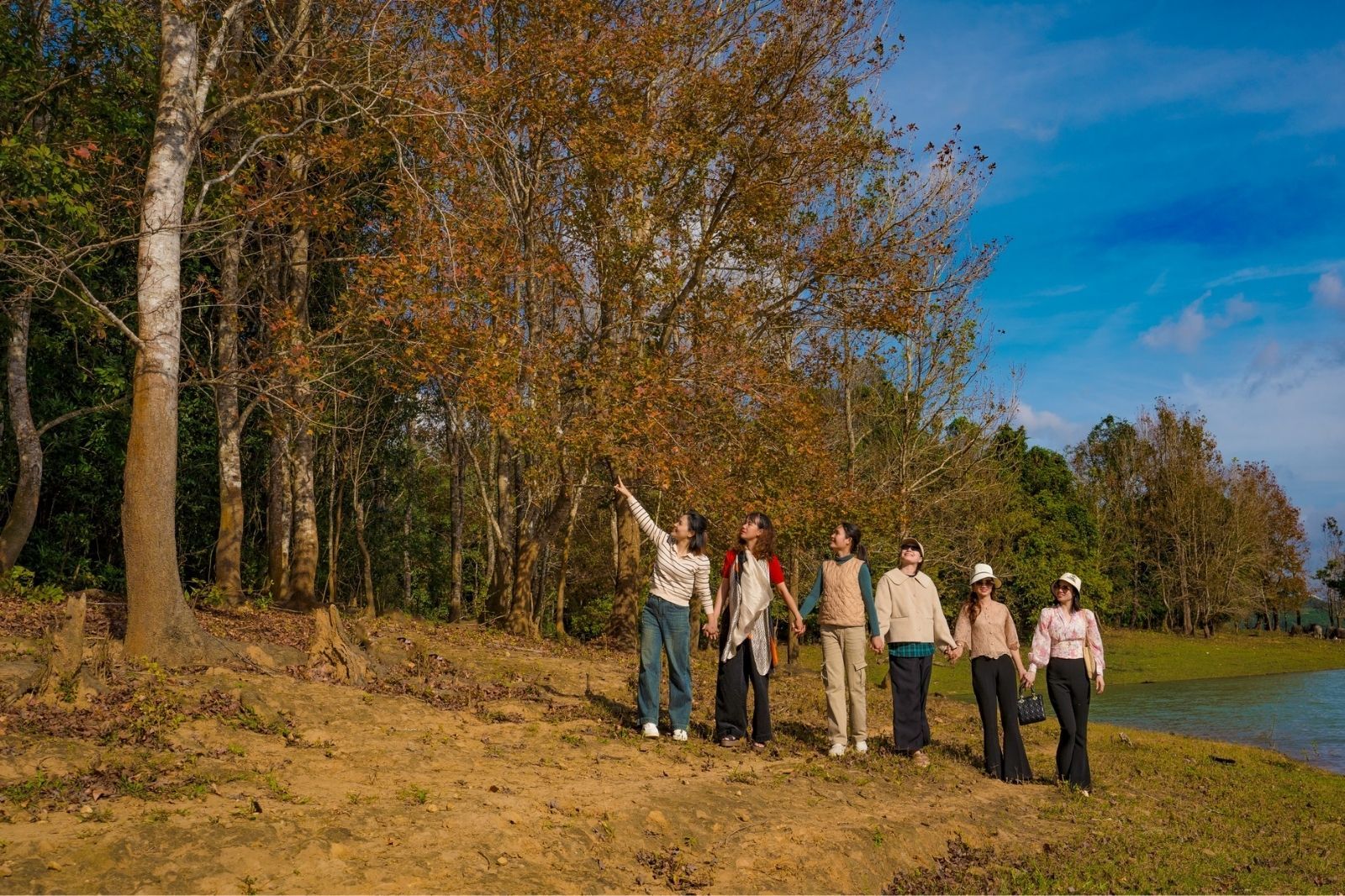 Check-in dưới tán lá rùng phong hương đẹp mê mẩn