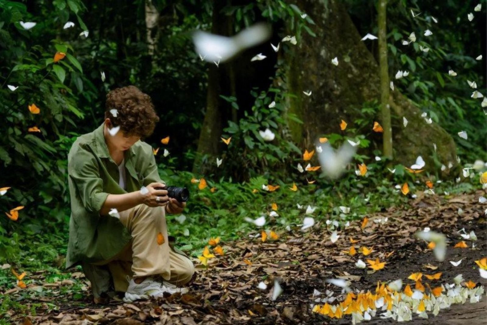 Check-in mùa bướm ở vườn quốc gia Cúc Phương