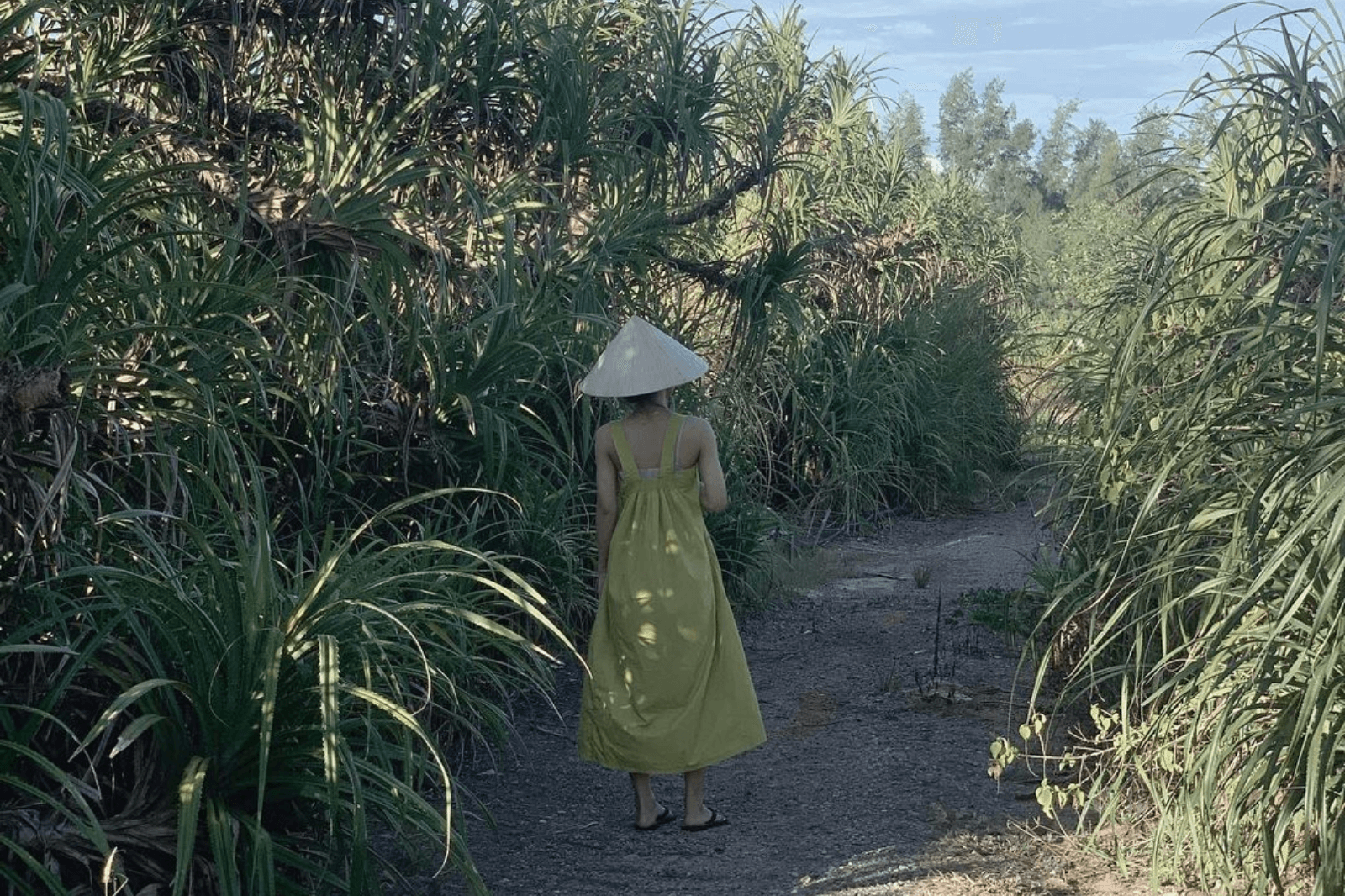 Check-in ở con đường ven biển