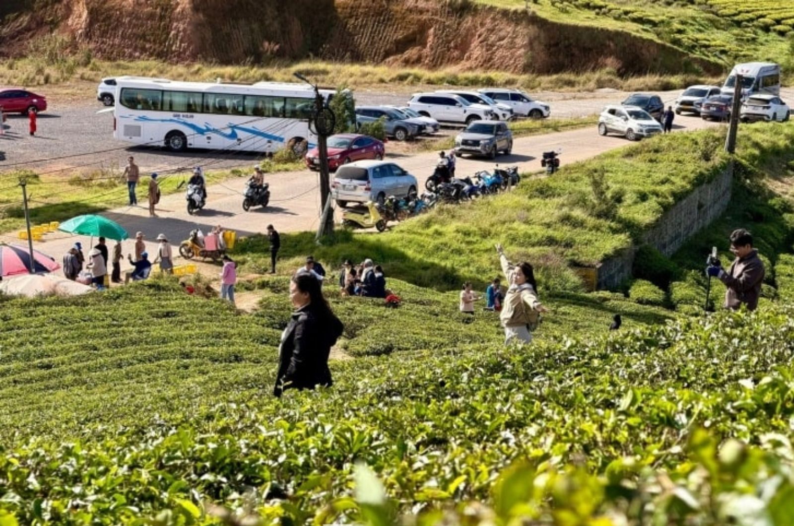 Check-in ở Đồi Chè Cầu Đất  