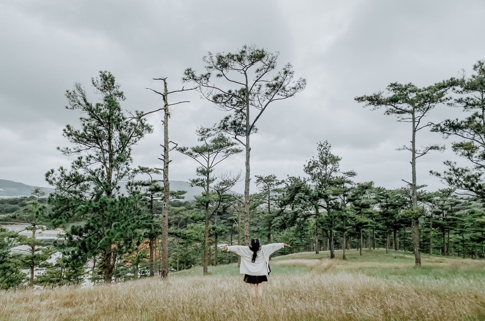 Check-in với rừng thông ở Đồi Đa Phú 