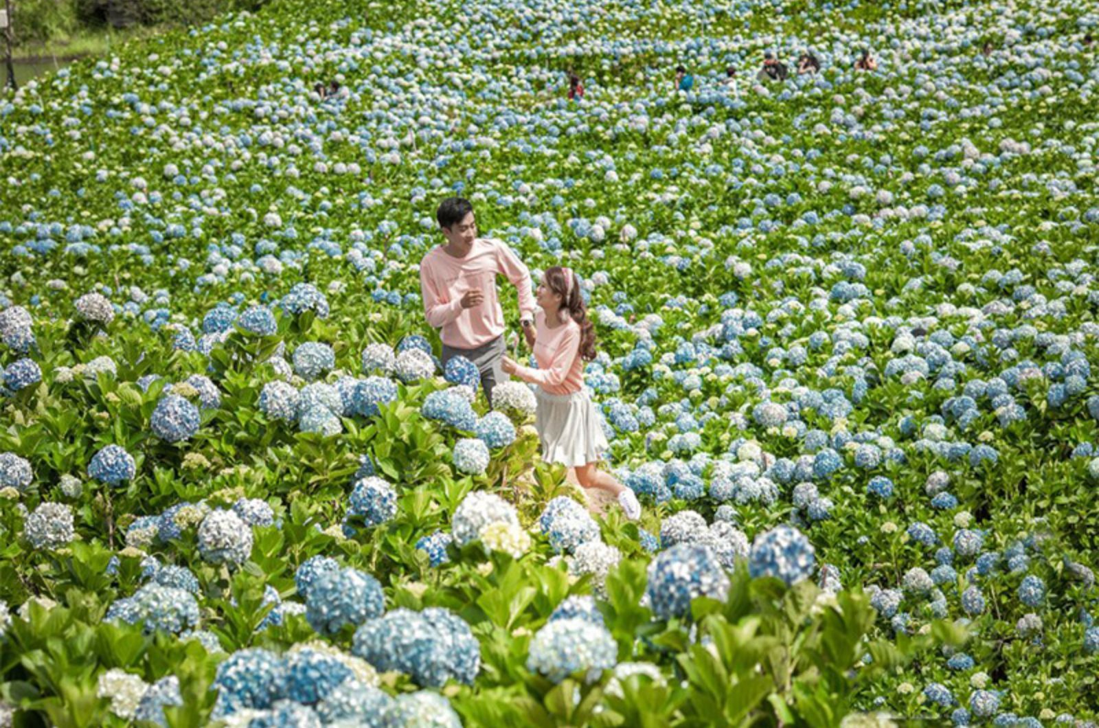 Check-in vườn hoa Đà Lạt 