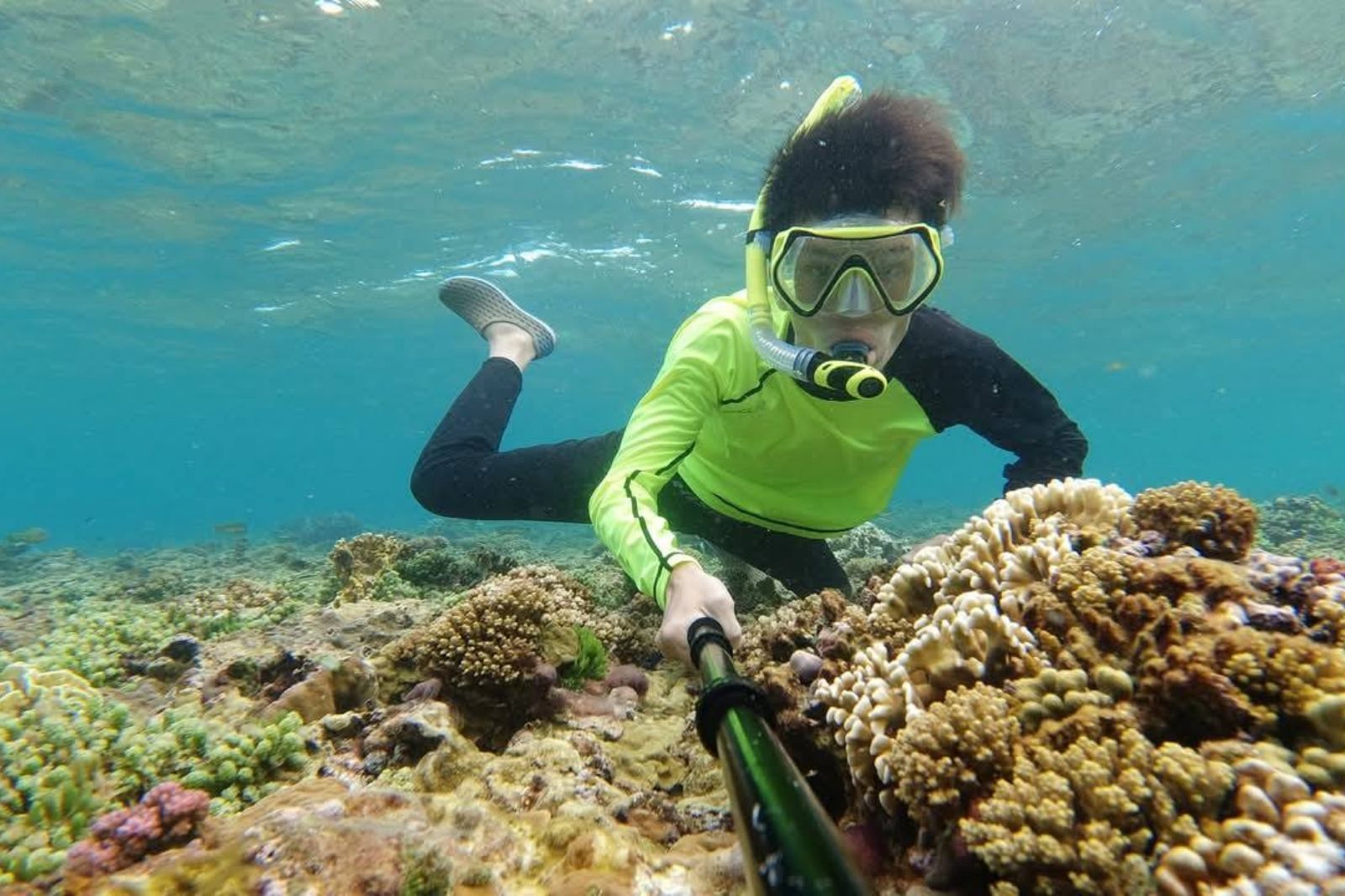 Chi phí lặn ngắm san hô tùy vào dịch vụ lựa chọn 