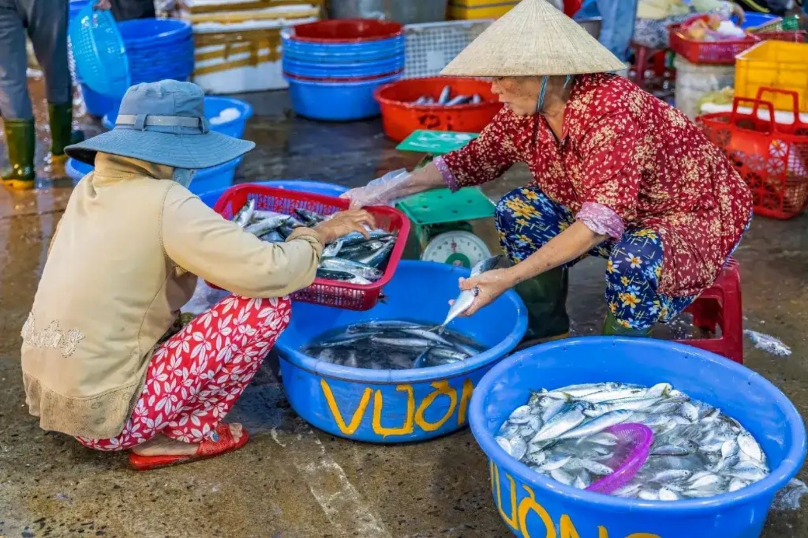 Chợ cá Thanh Hà là biểu tượng của nhịp sống địa phương  