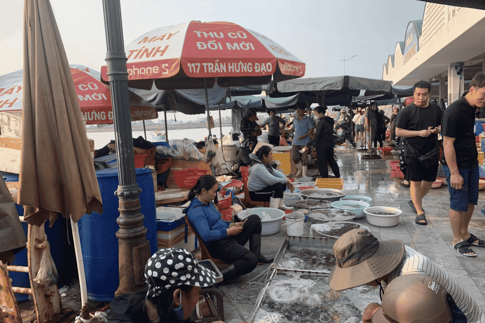 Chợ hải sản Đồng Hới 