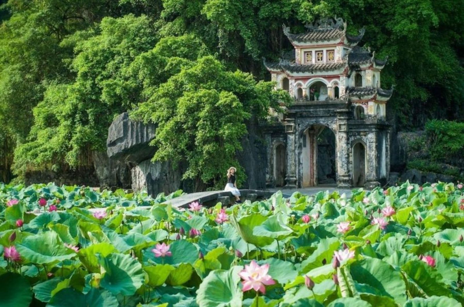 빅동 사원