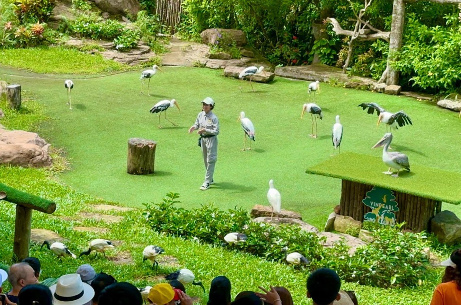 Chương trình biểu diễn xiếc chim 