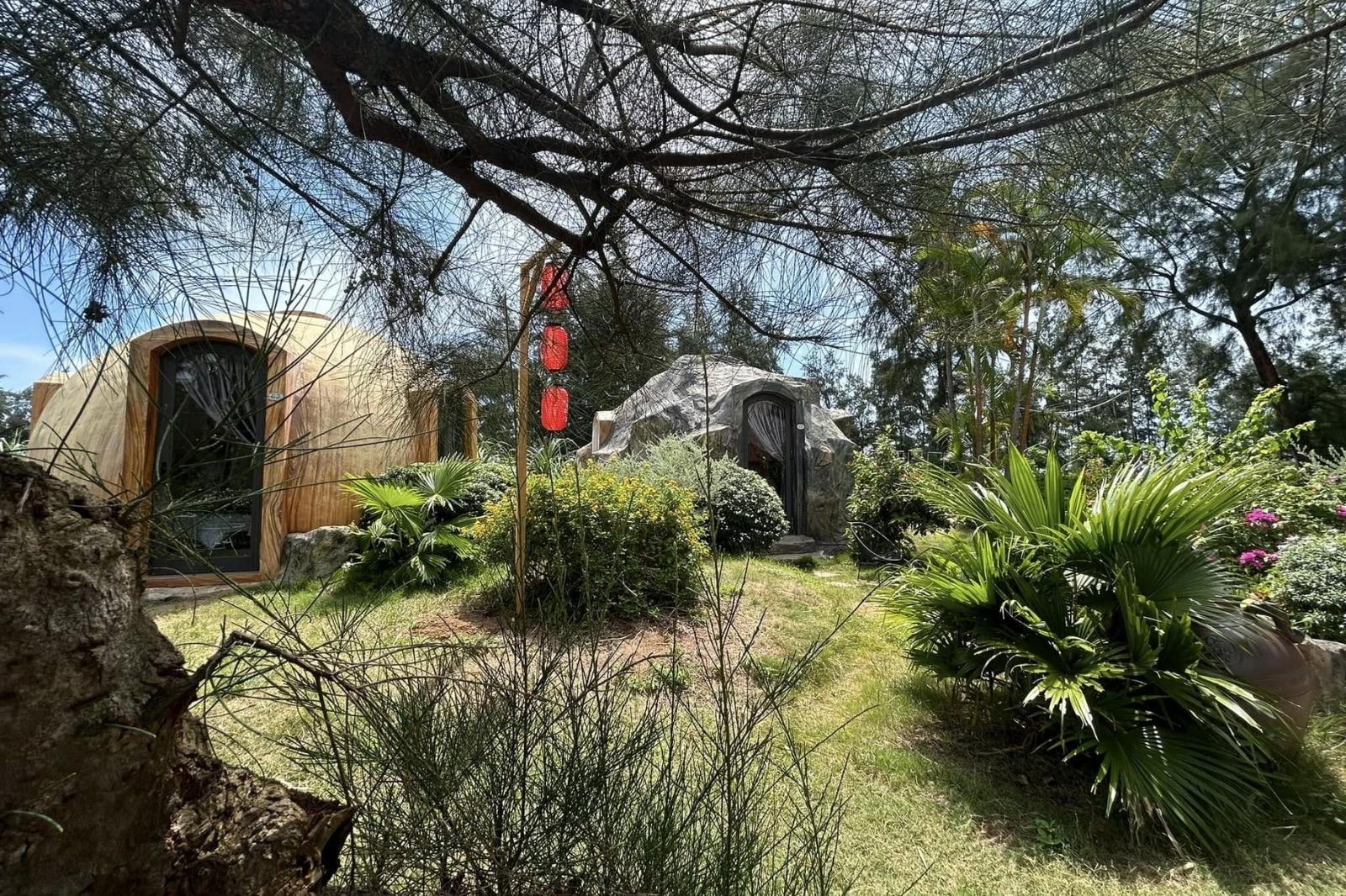 Có nhiều lựa chọn với mức giá phù hợp