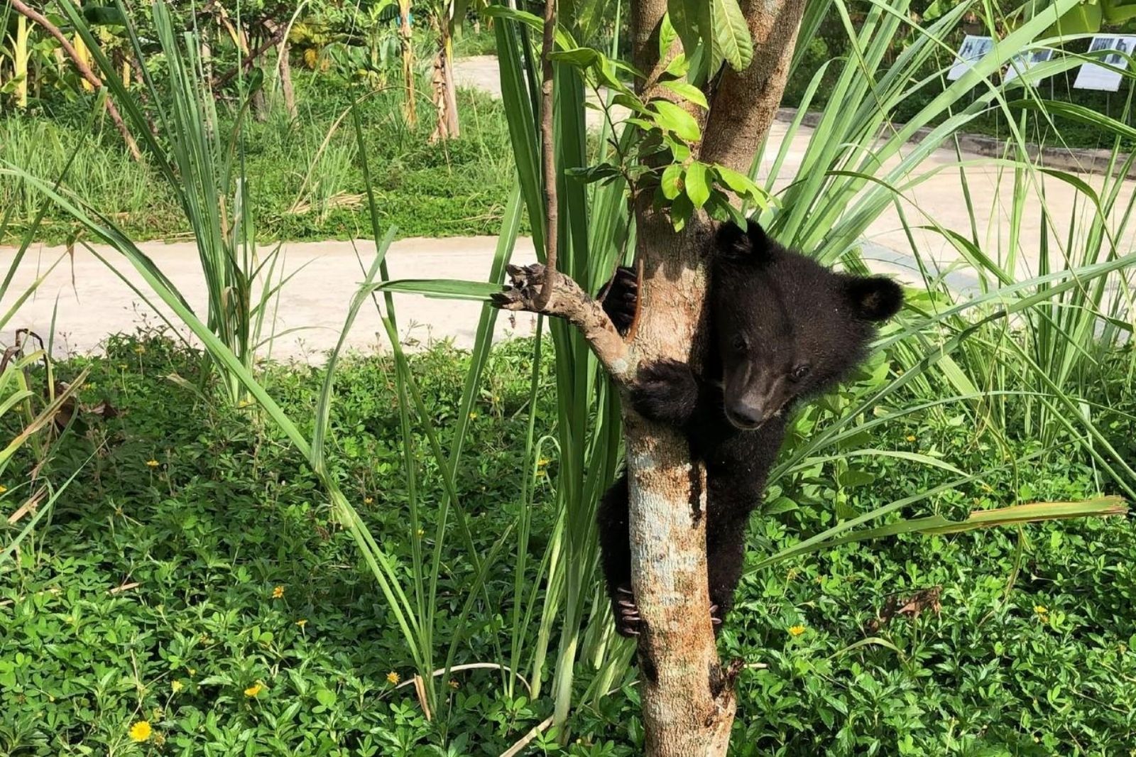 Cơ sở bảo tồn có môi trường tự nhiên 