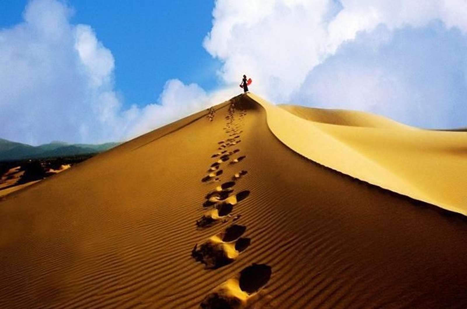 Cồn Cát Quang Phú, vẻ đẹp hoang sơ bên bờ biển