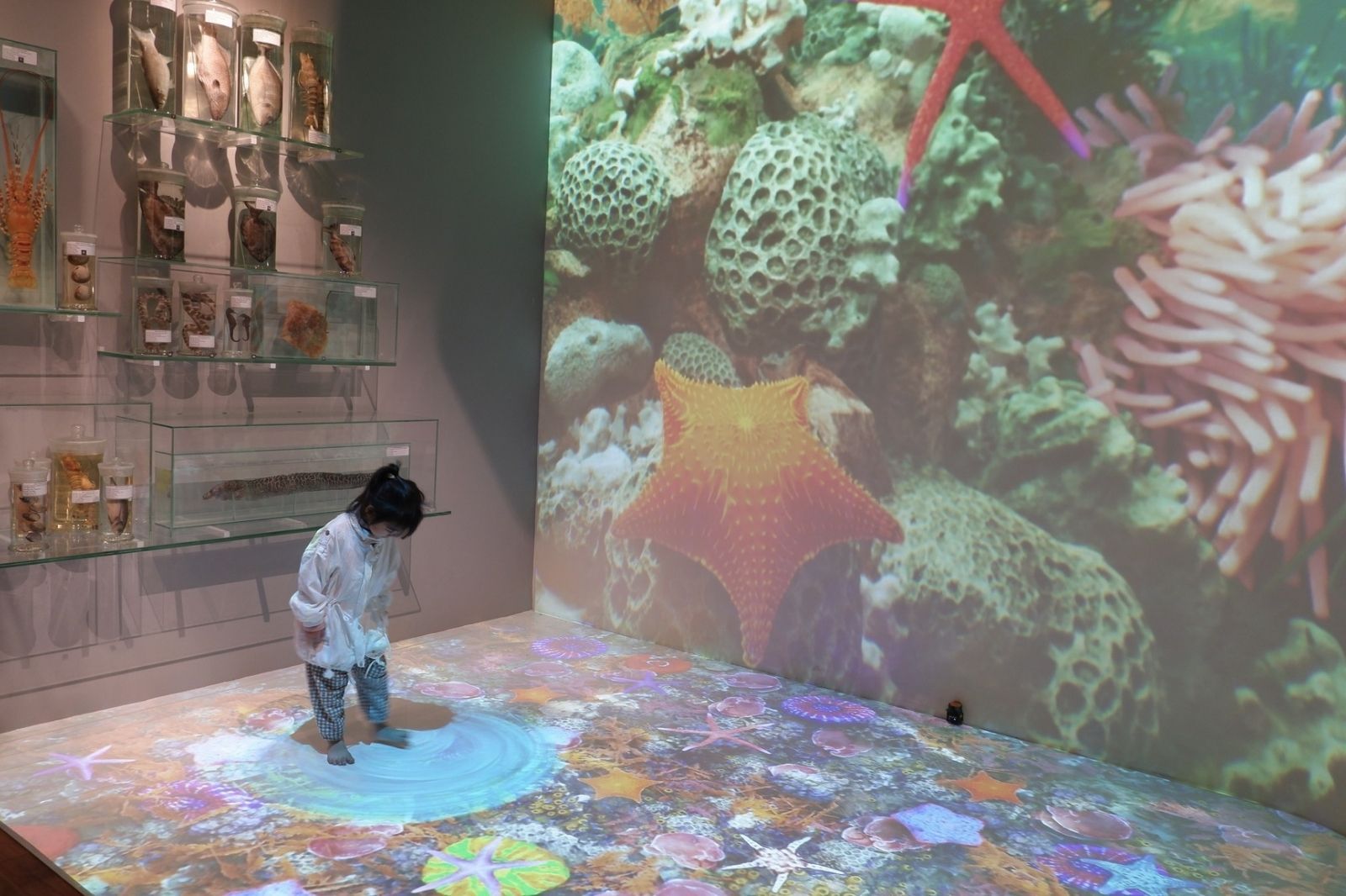 Bảo tàng tích hợp công nghệ hiện đại cho quá trình tham quan sinh động hơn