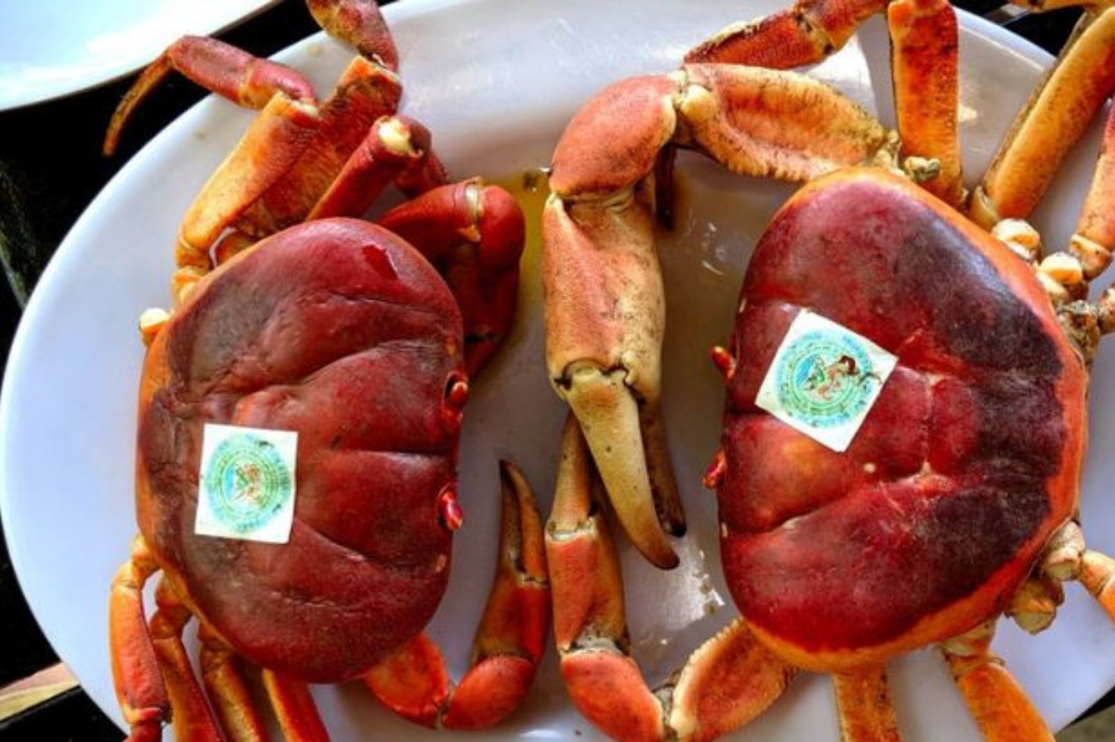 Cua đá hấp giữ được vị ngon ngọt tự nhiên  