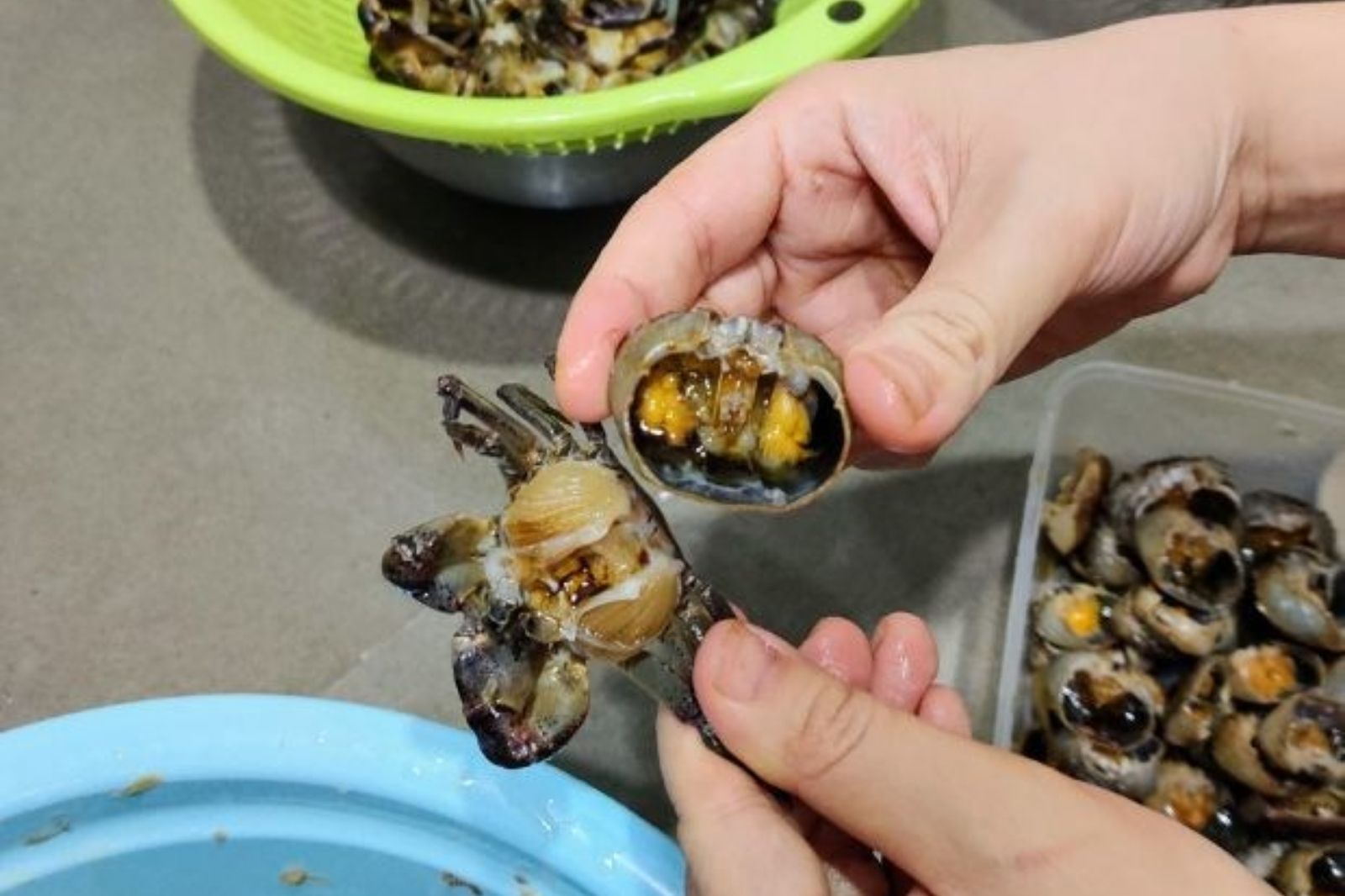 Cua đồng càng chất lượng thì mắm càng ngon