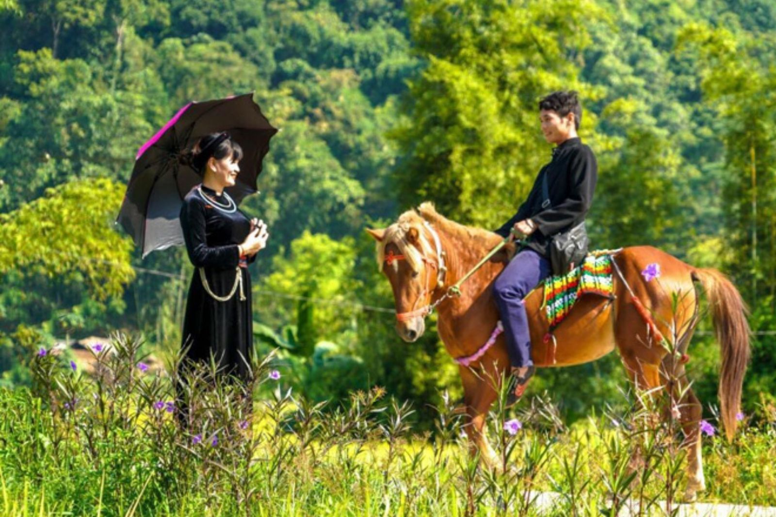 Cưỡi ngựa ở một số resort nổi tiếng ở Ninh Bình 