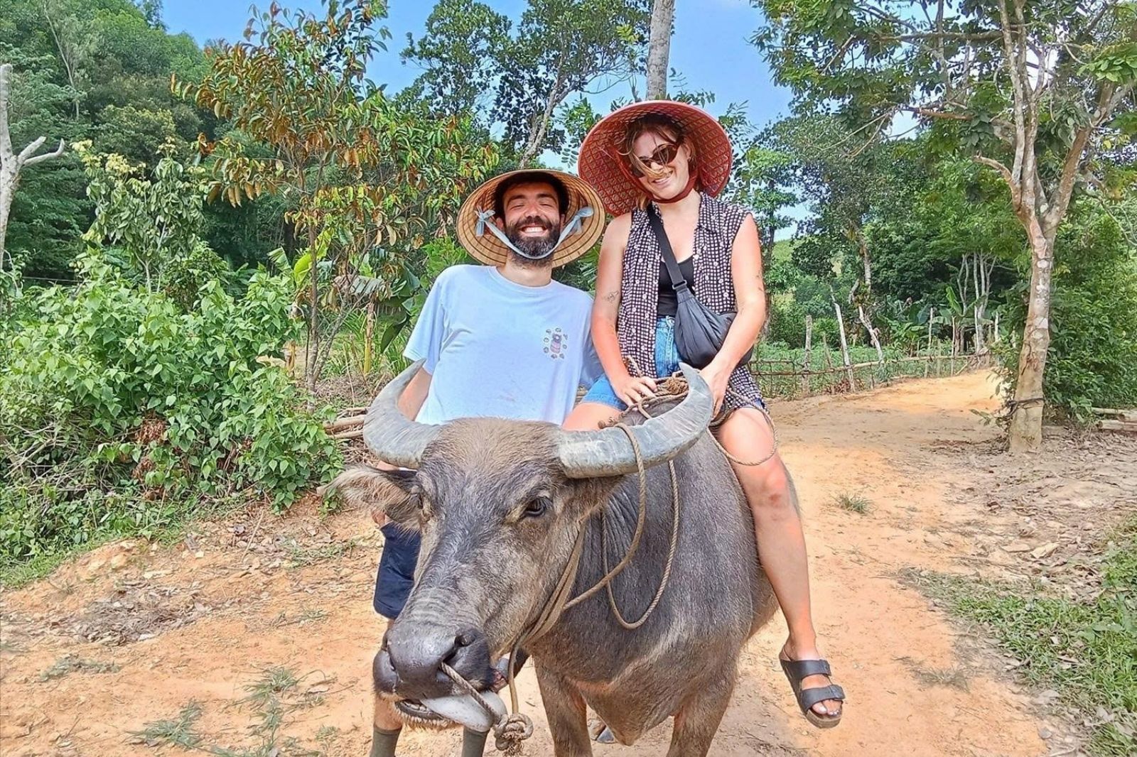 Cưỡi trâu ở Tang's Farm